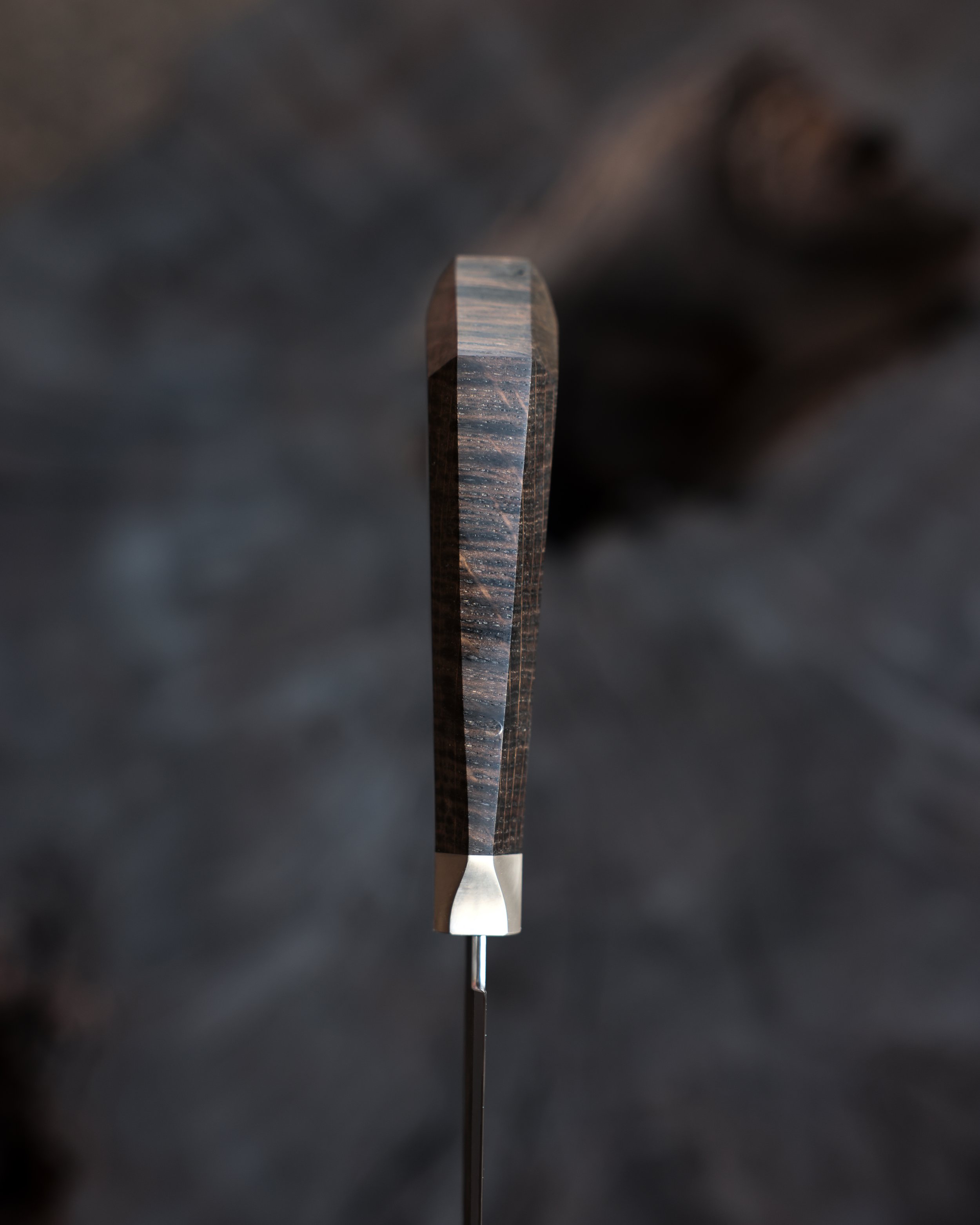 RS9A5381.jpg