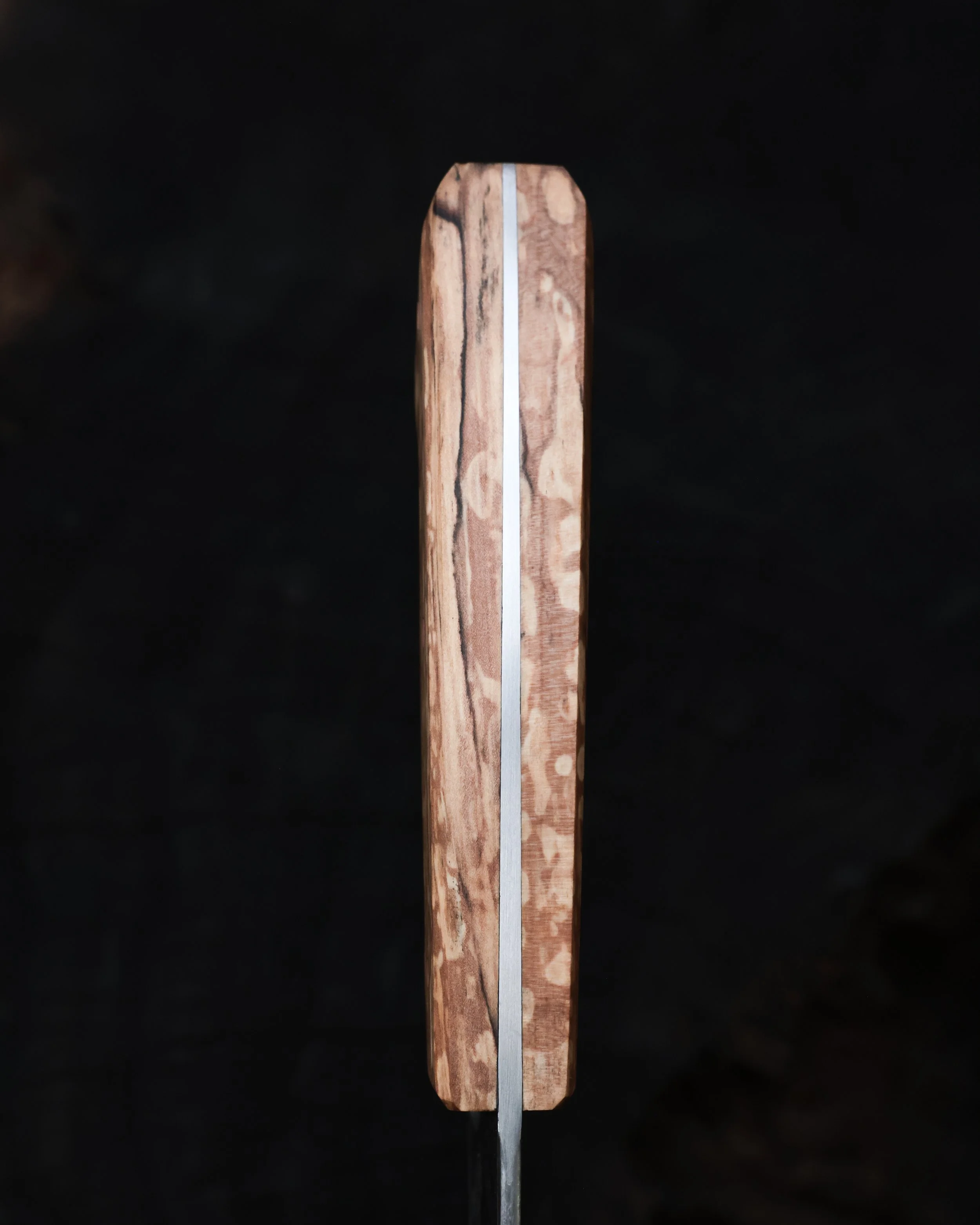 RS9A6061.jpg