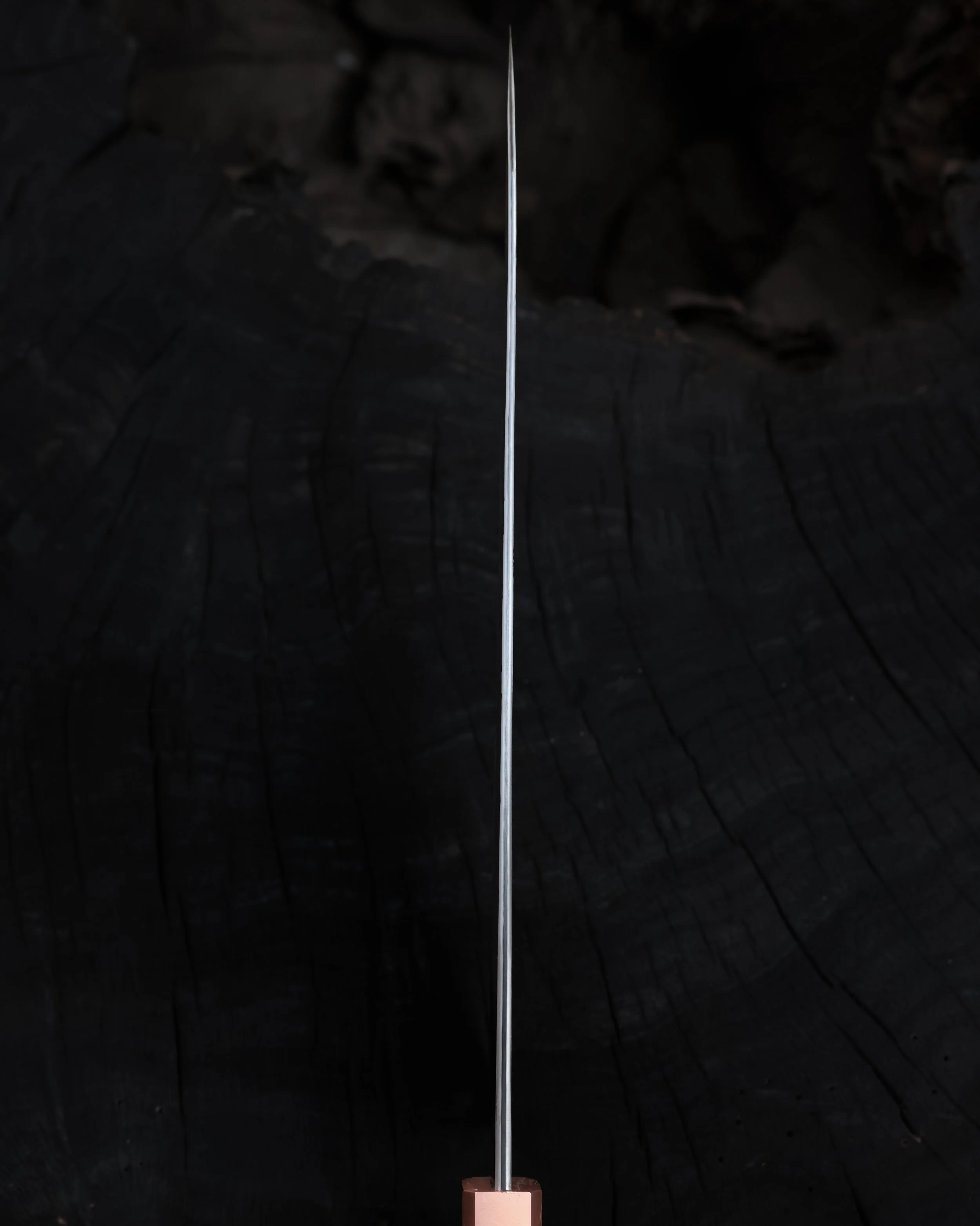 RS9A6004.jpg