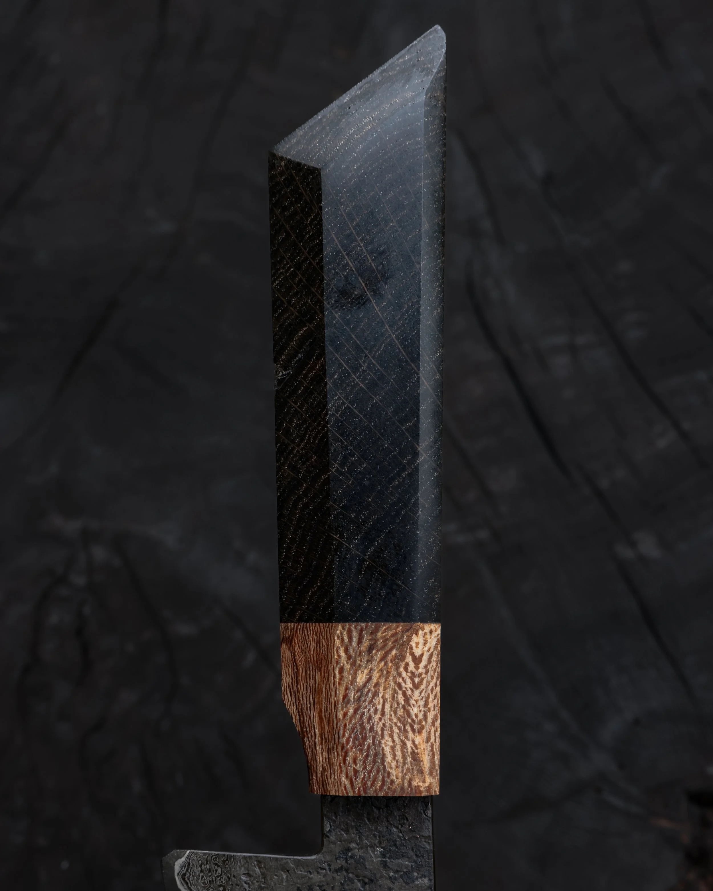 RS9A5877.jpg