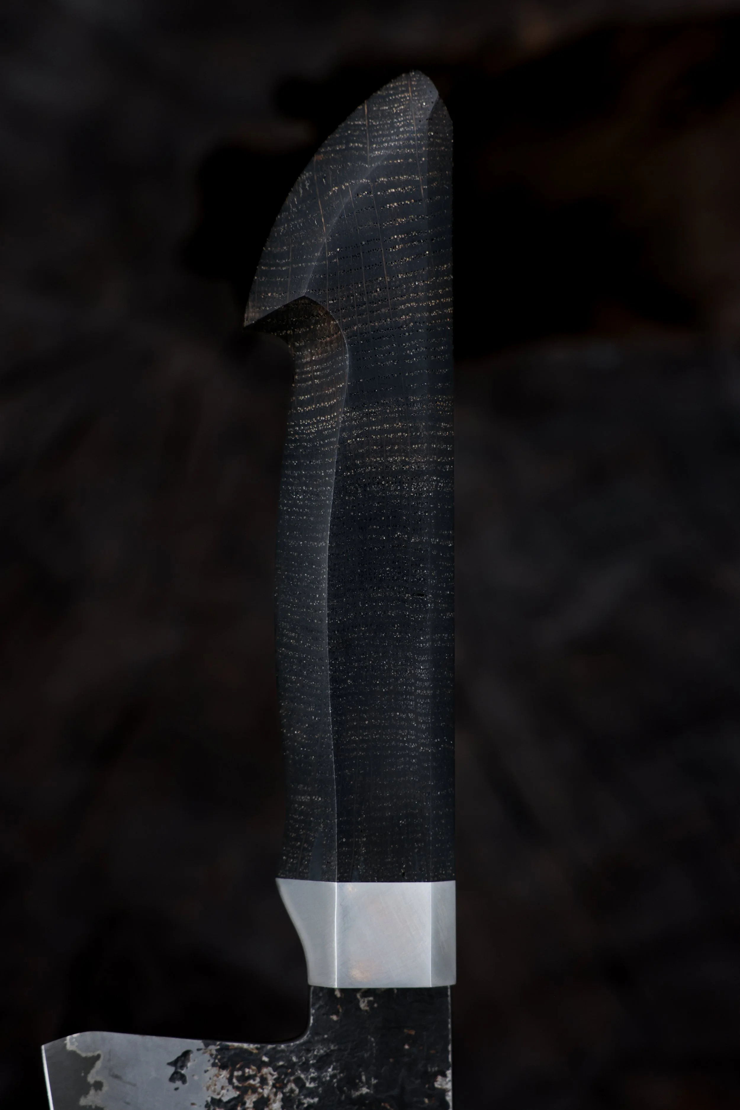 RS9A1526.jpg