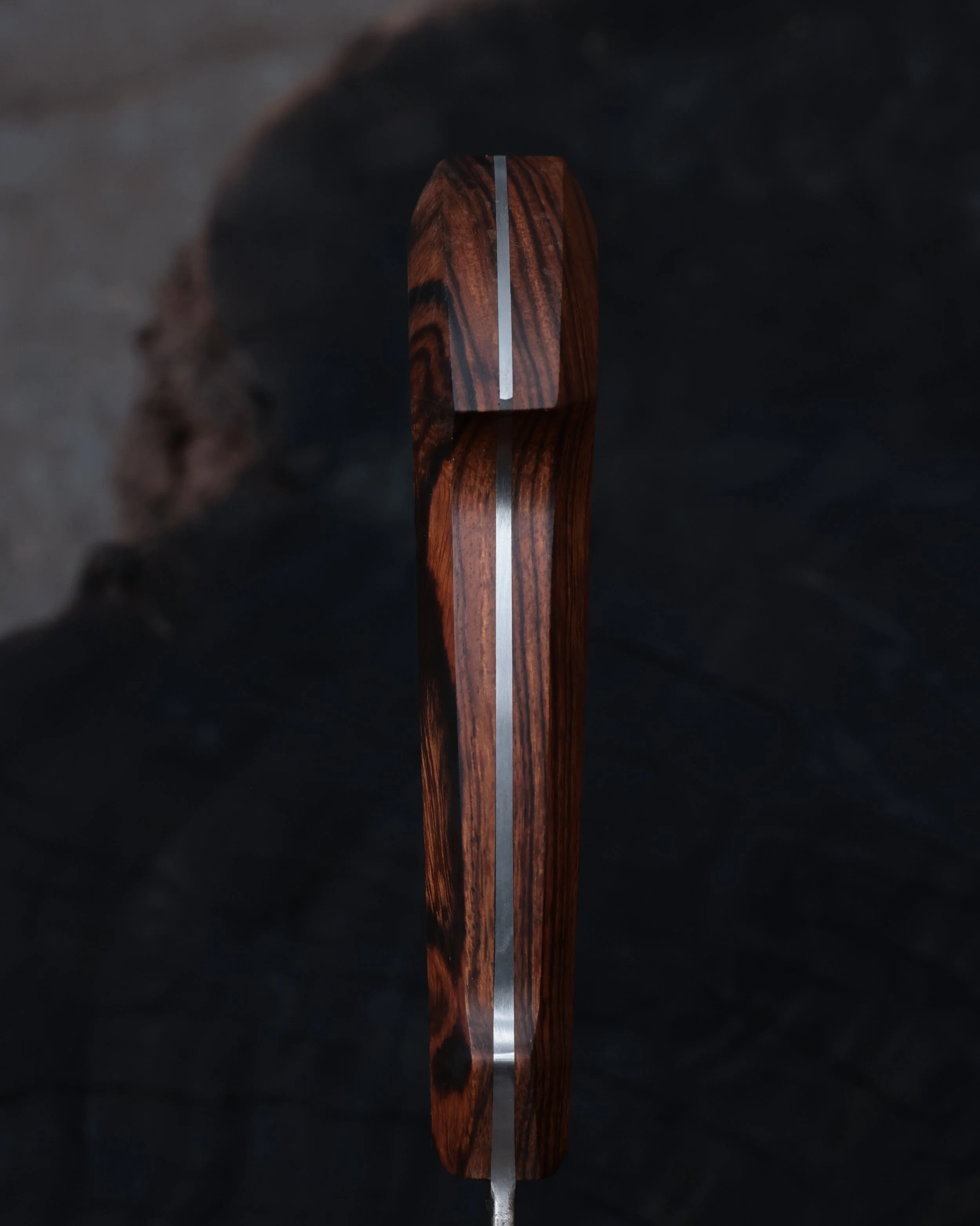 RS9A6031.jpg