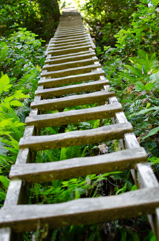 Going up