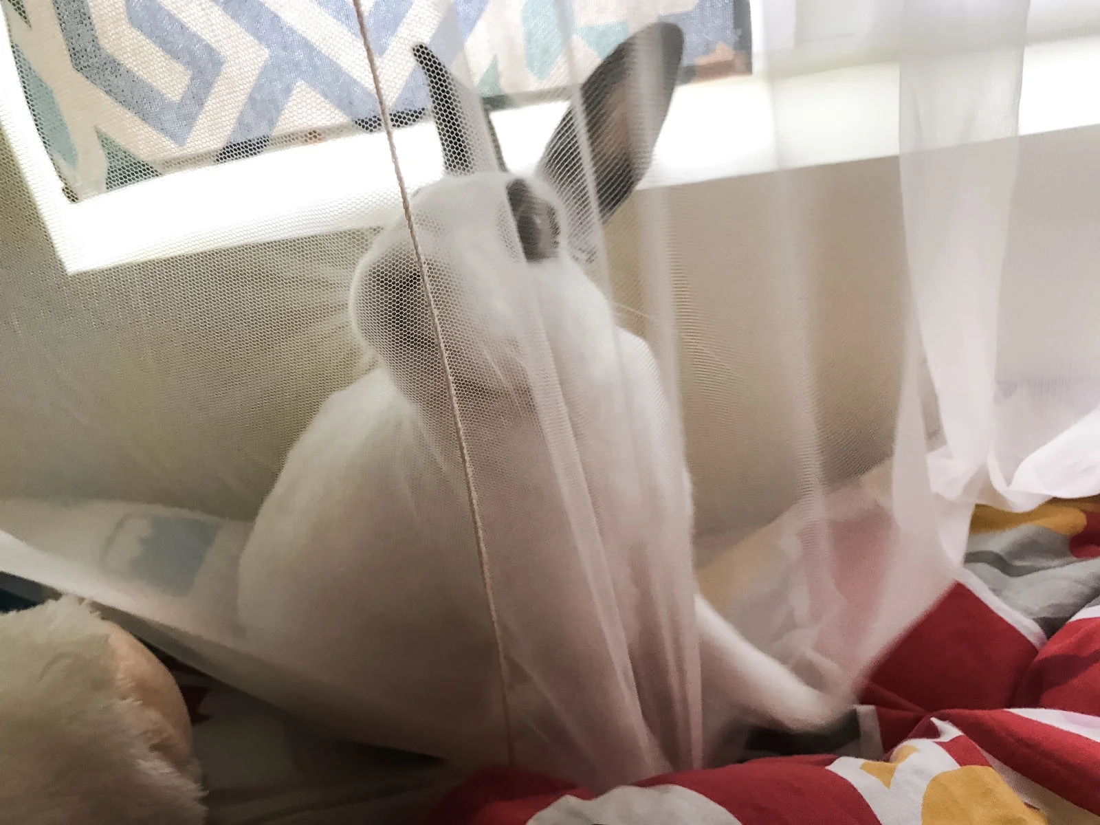 WhatsApp_Image_2019-08-26_at_12.33 2.JPG