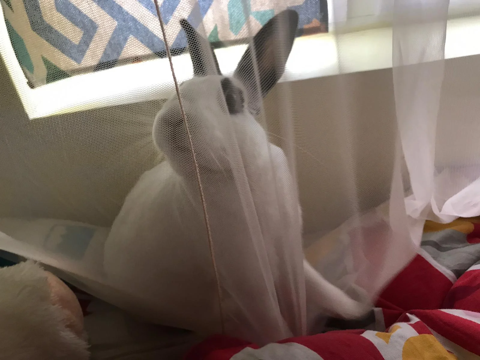 WhatsApp Image 2019-08-26 at 12.33.41 AM.jpeg