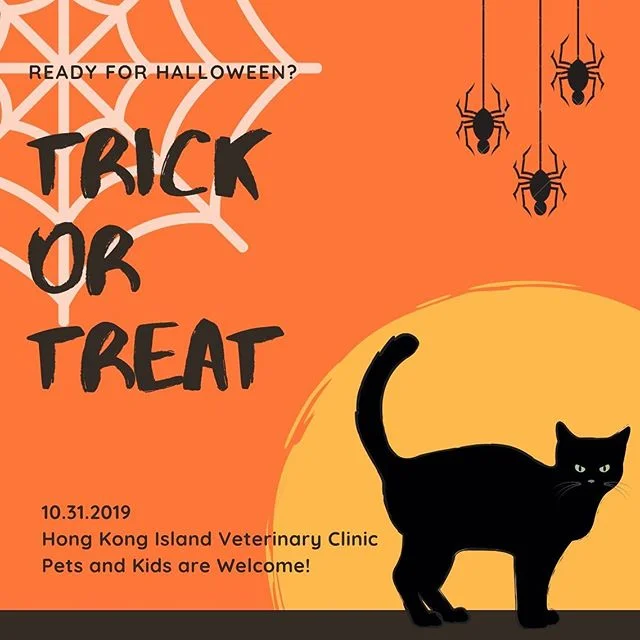 Hong Kong Island Veterinary Clinic 港島獸醫診所