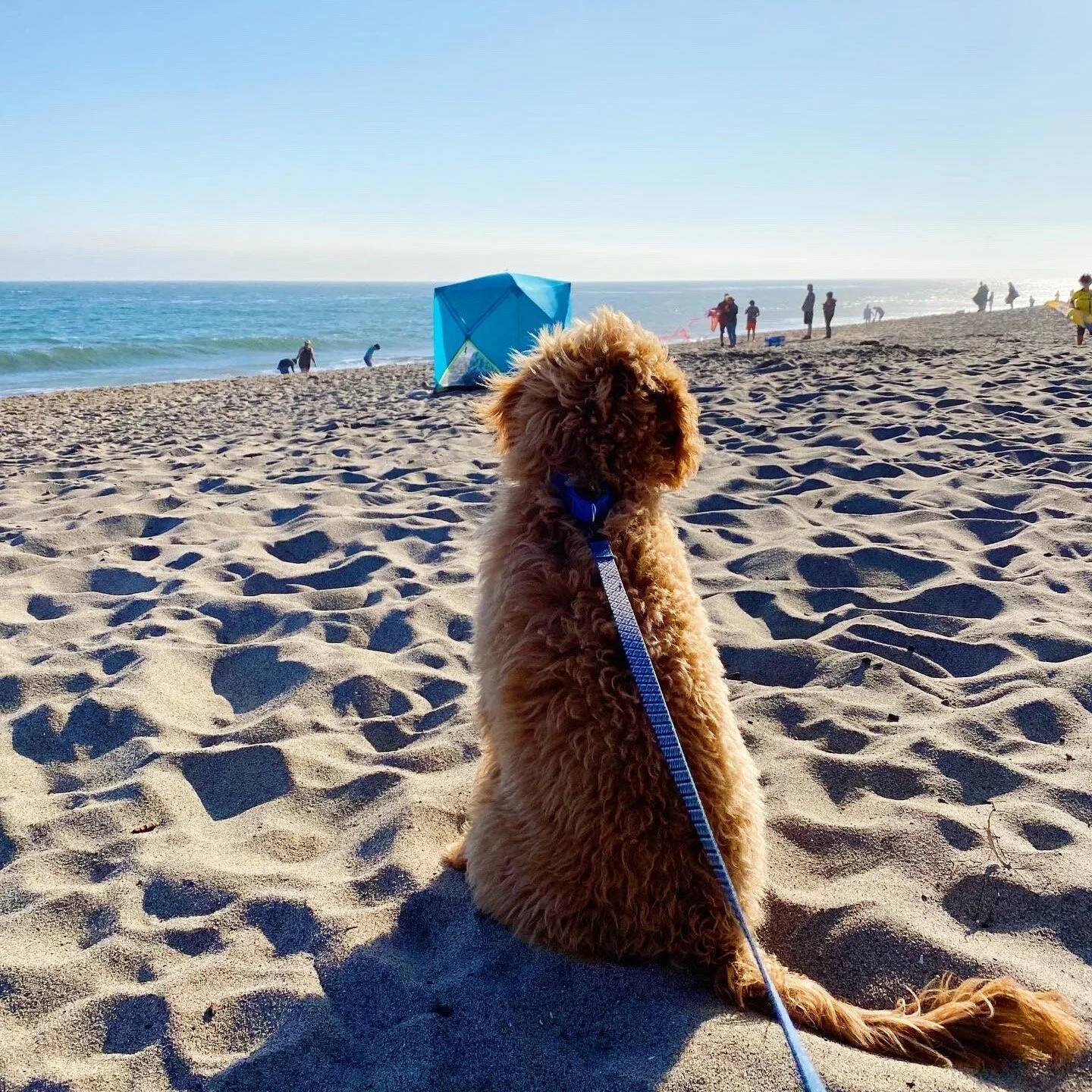 9th Floor Playlist Update