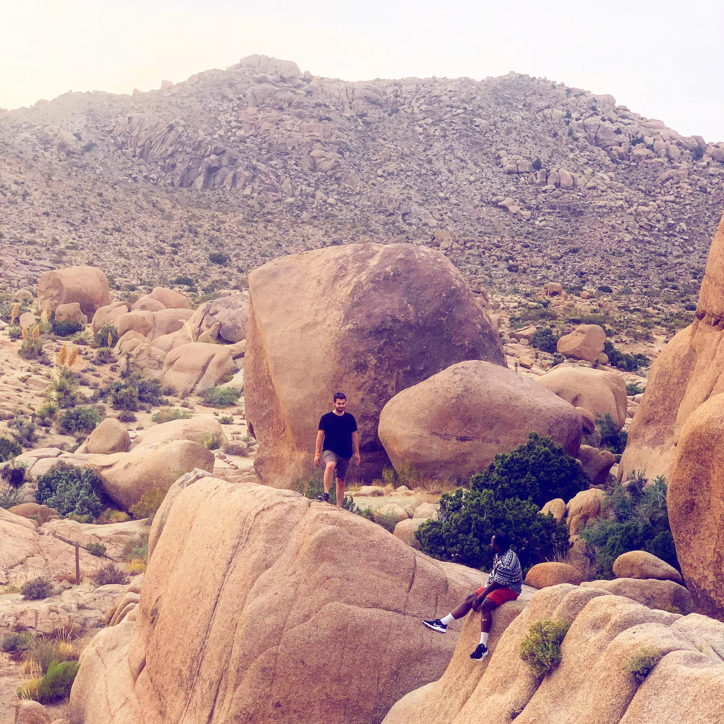 9th Floor Playlist Update