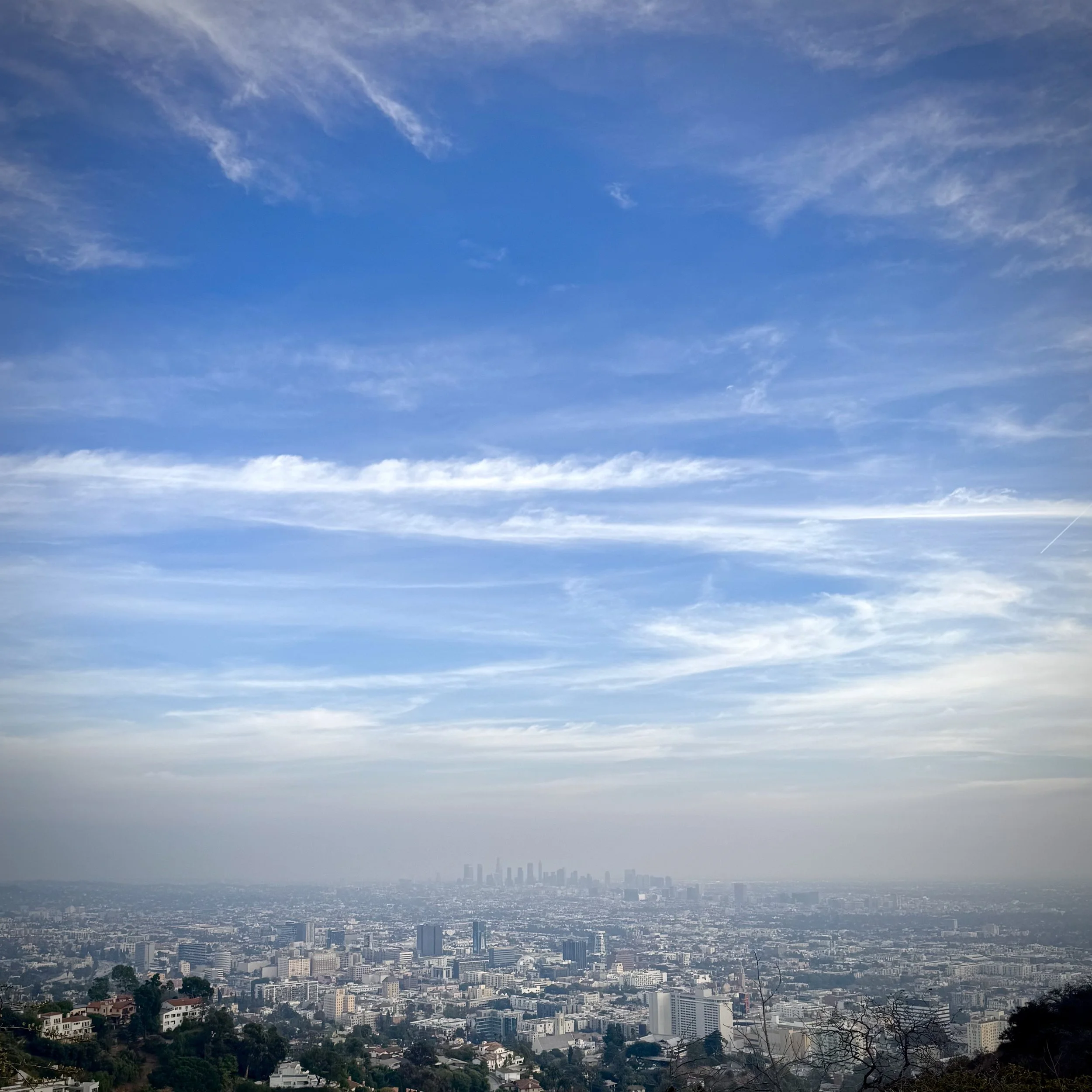 The 9th Floor Playlist Update