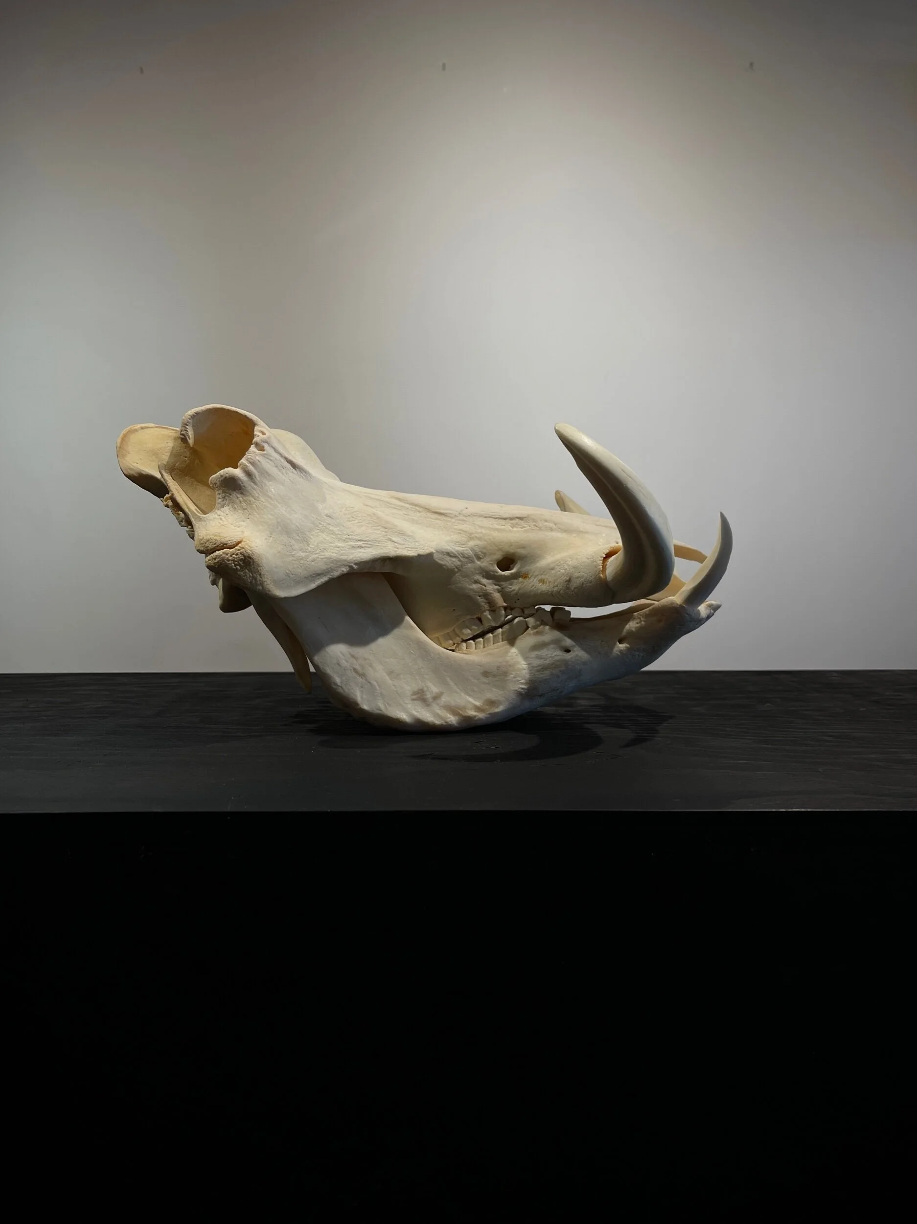 172149B4-793B-496C-8795-4FE465A0A428