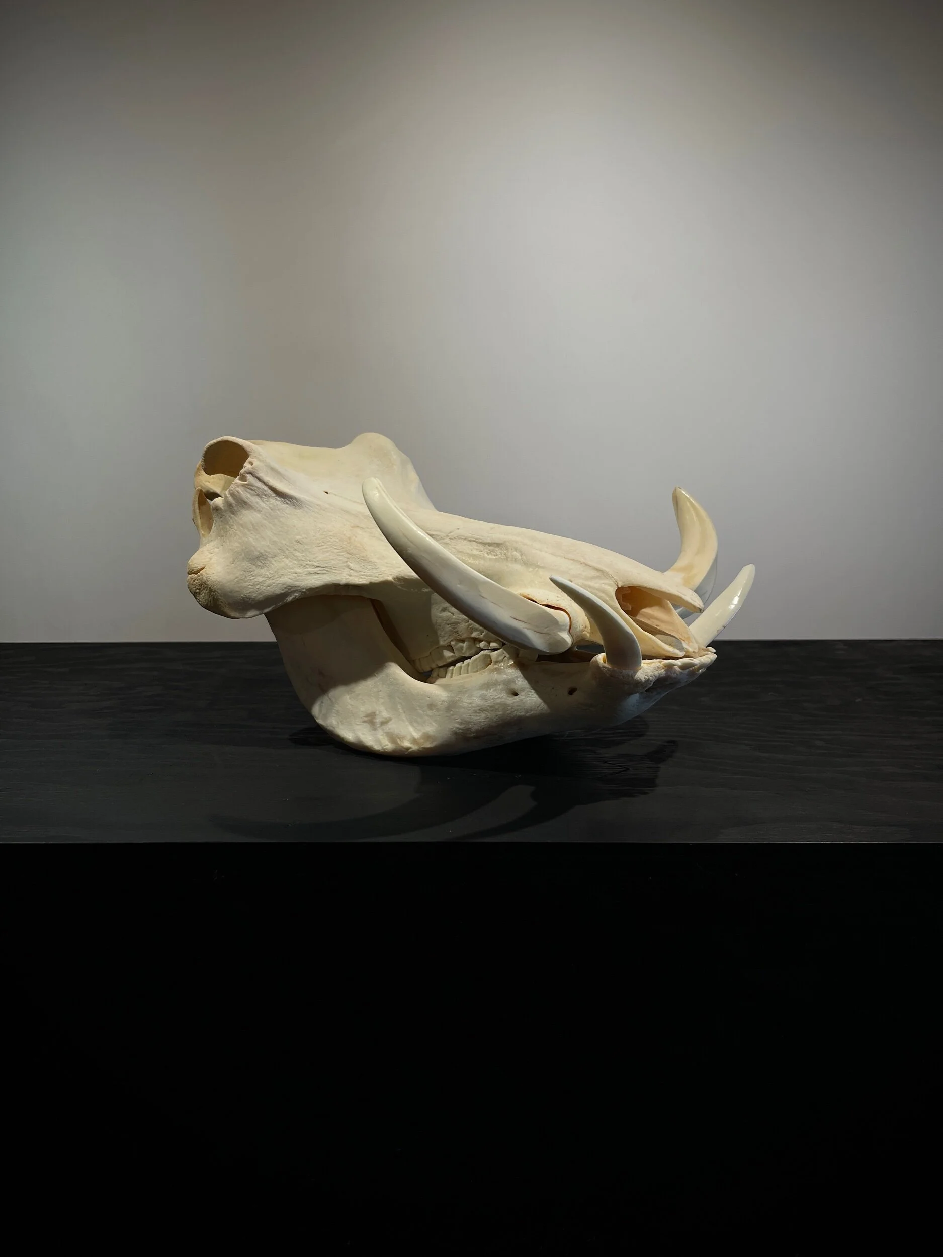 0DBC907F-4B78-4517-9D5E-F541878FCF70