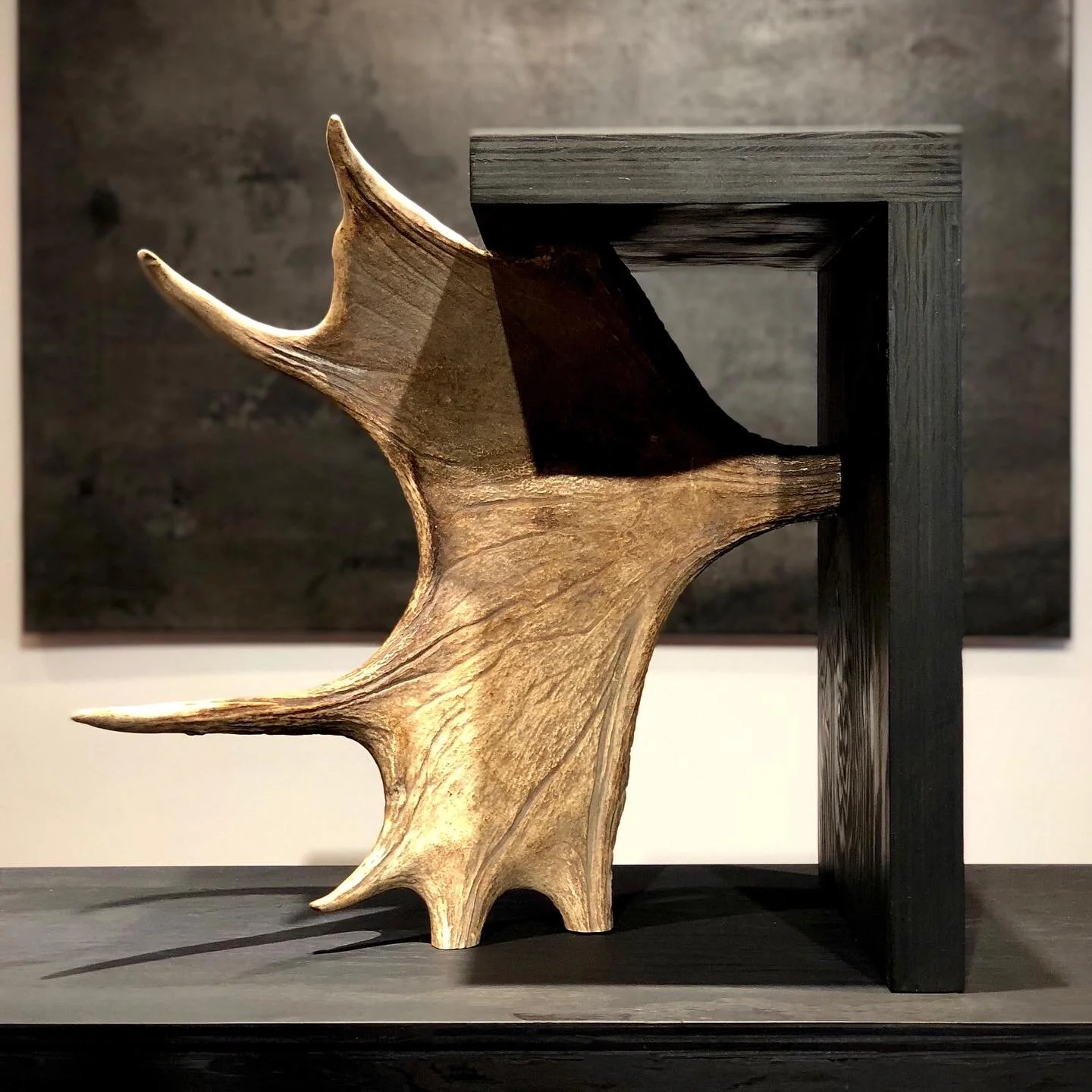 FE9E02F2-B9B8-4117-8D46-747F26BE222C