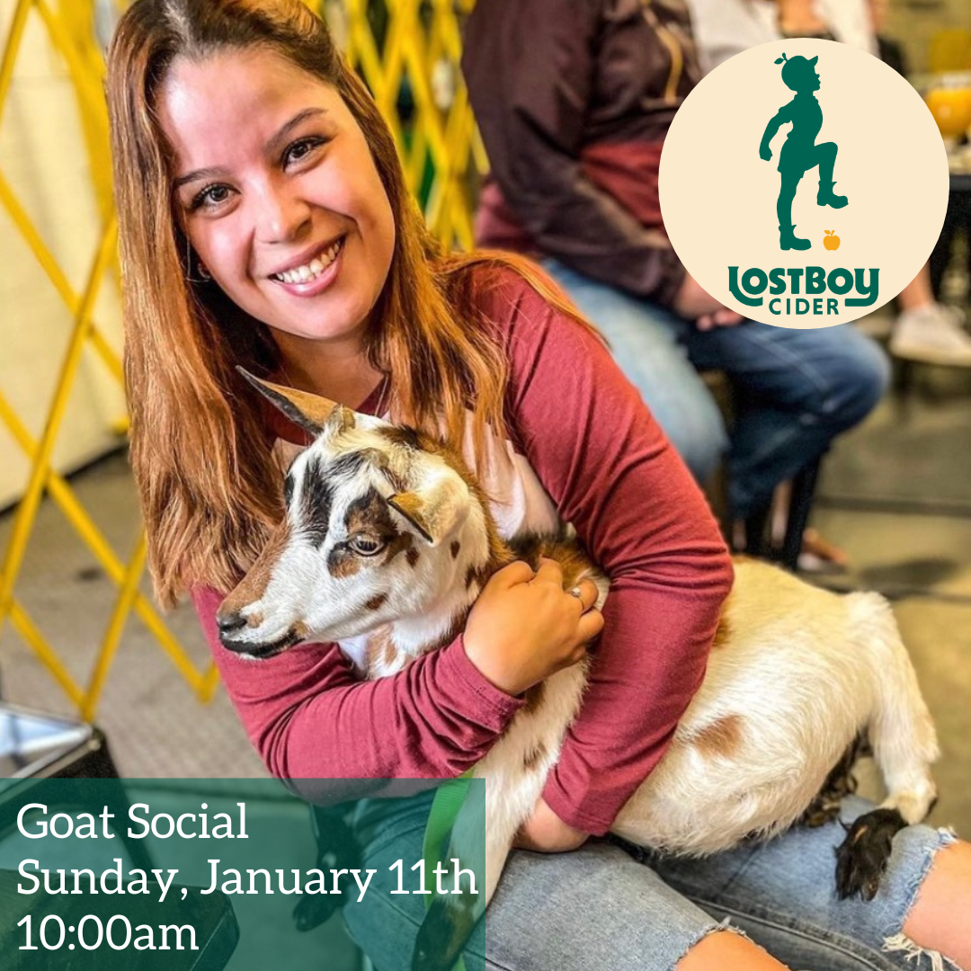 Goat Social Hour at Lost Boy Cider