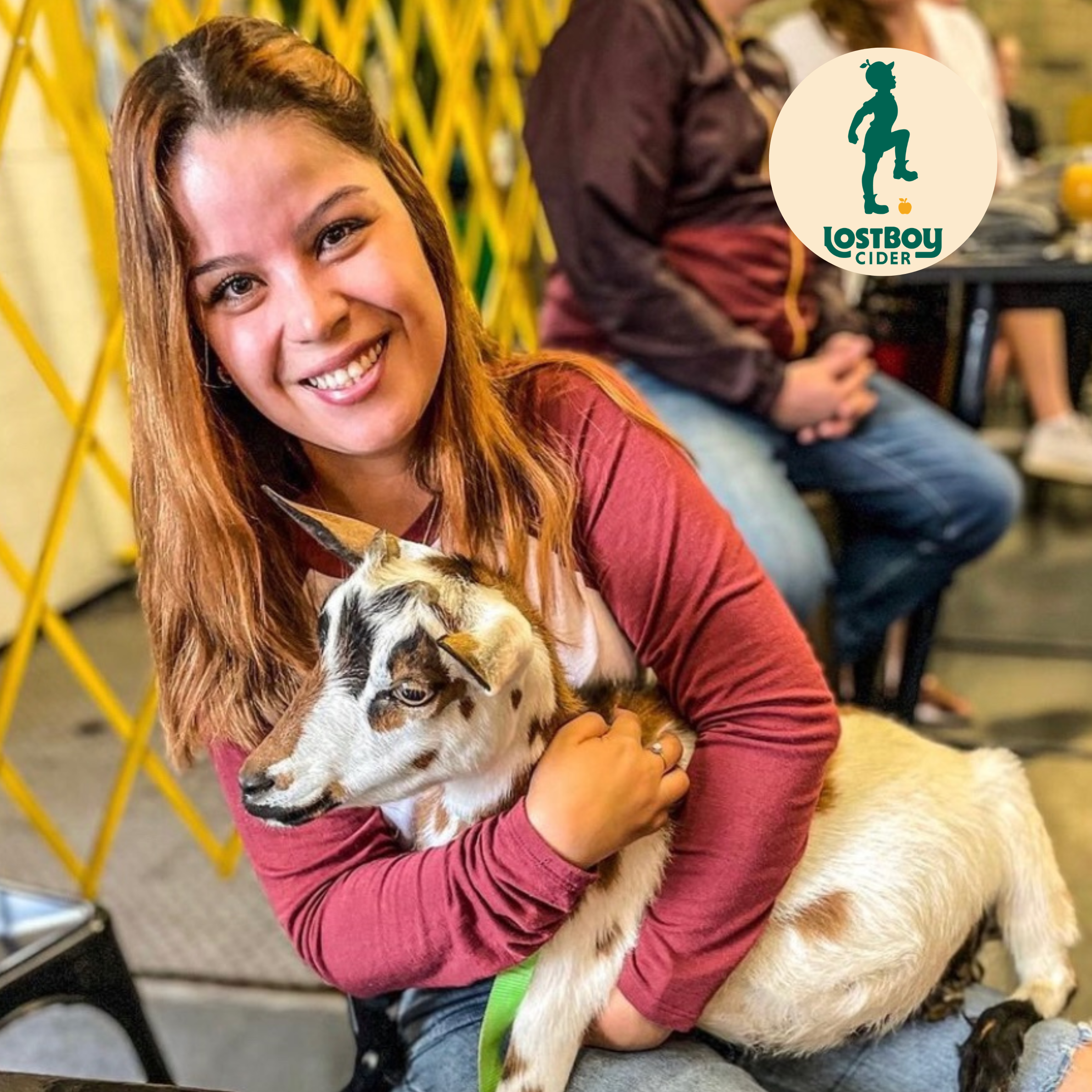 Baby Goat Social Hour at Lost Boy Cider 