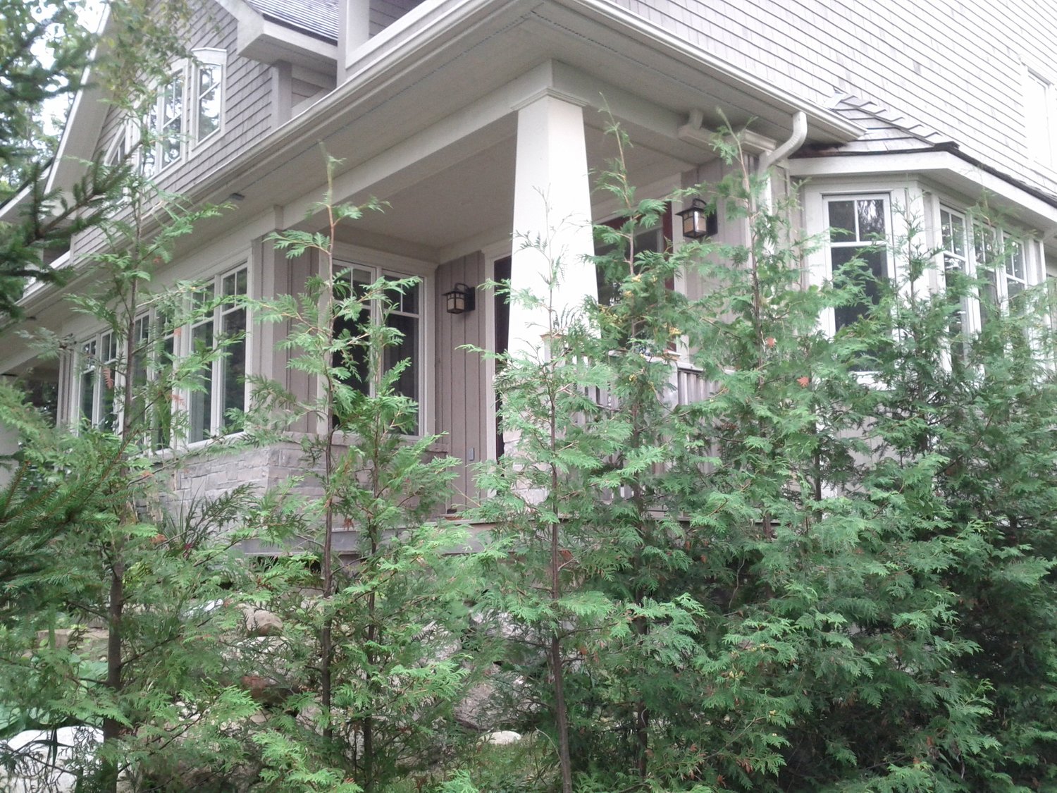 Cottage Retreat, Thornbury — 2