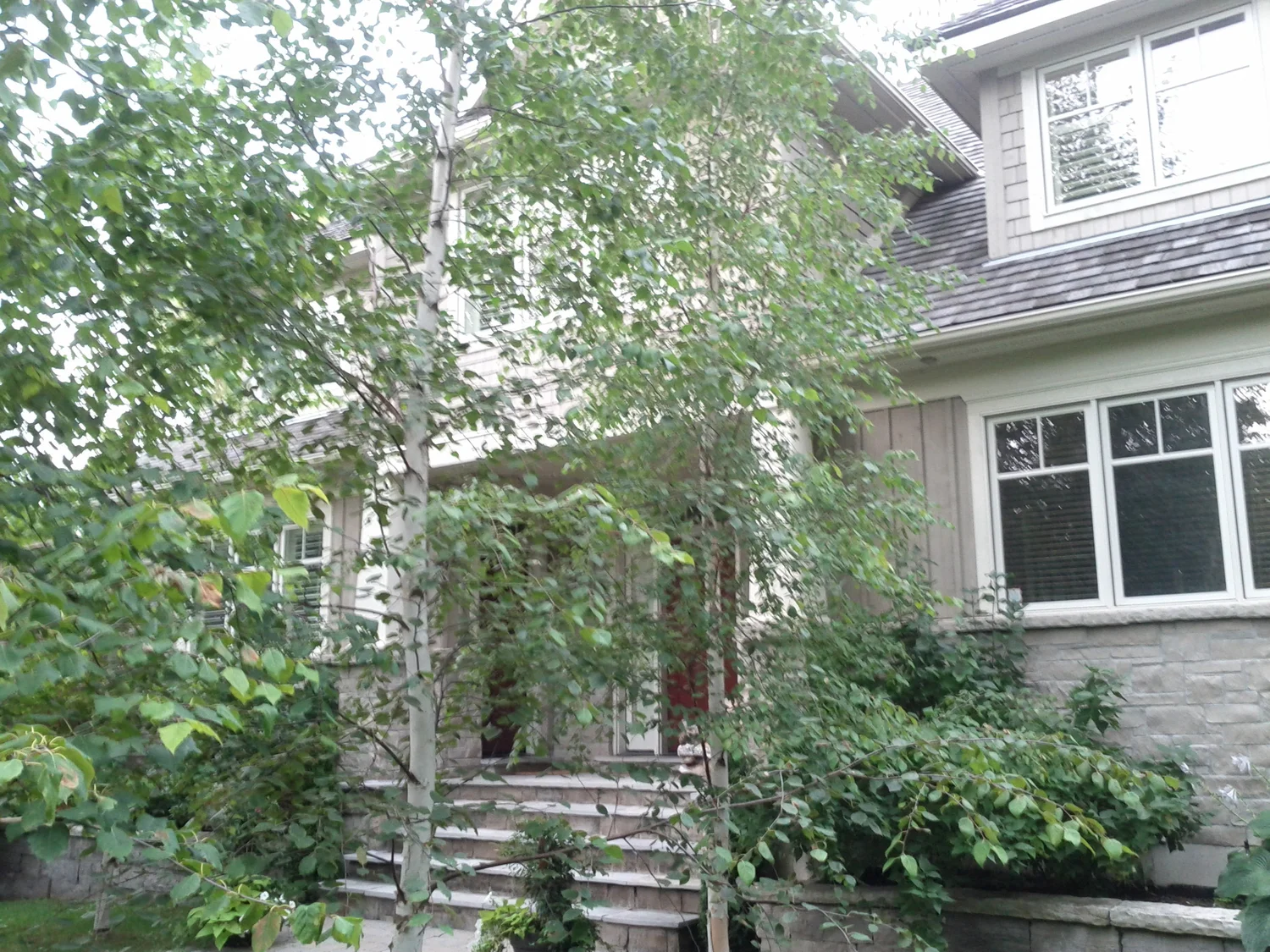 Cottage Retreat, Thornbury — 20