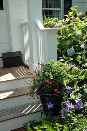 detail_of_front_steps.jpg