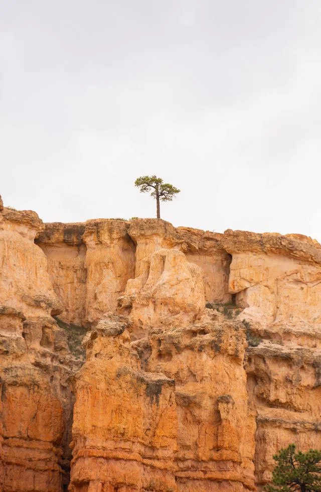 How to build resilience after a breast cancer diagnosis