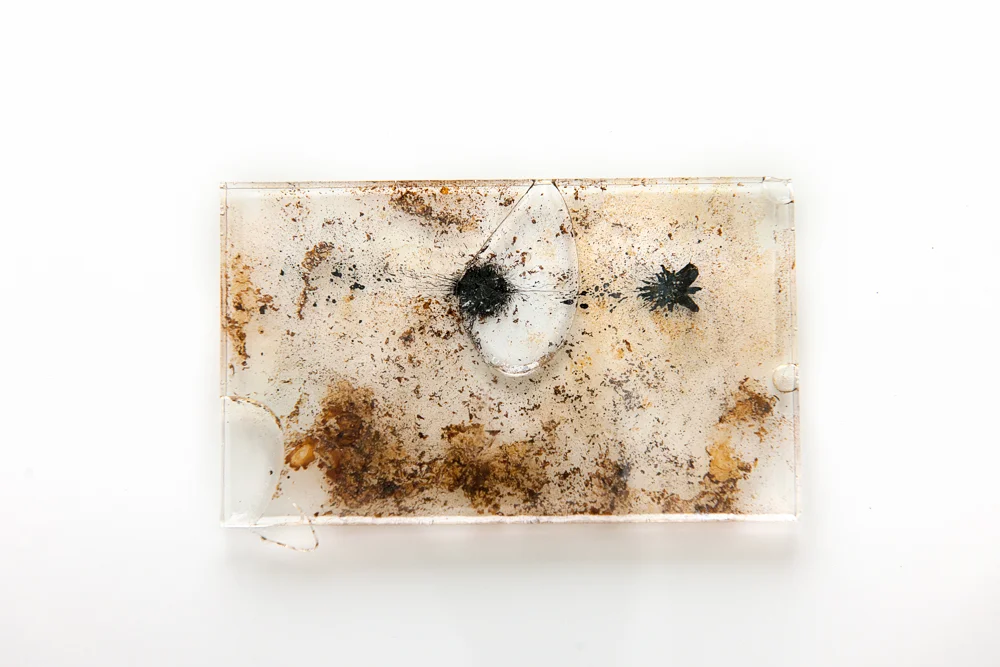iPhone Magnetic Field