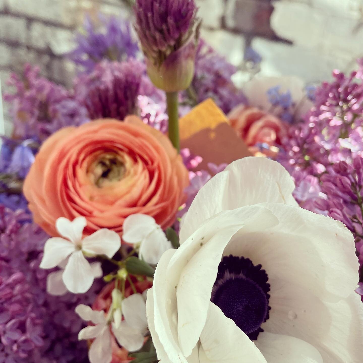💐Bristol💐Flower💐Deliveries💐

Place your orders now for bouquet deliveries this week.

As always we&rsquo;ve got locally grown seasonal flowers, available in 2 set bouquet sizes, delivered by cycle courier across Bristol on Thursday afternoon.

DM