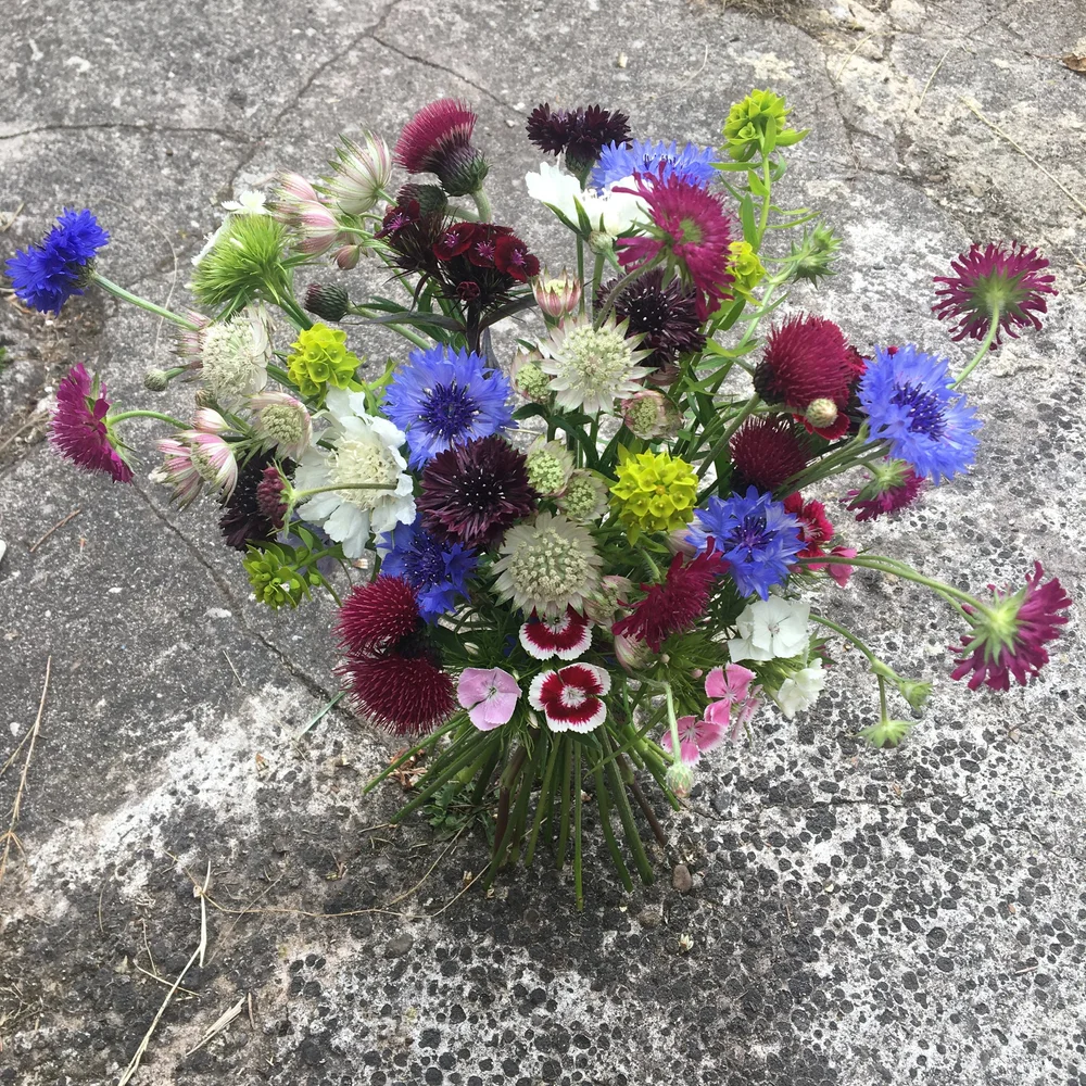 Credit: Bouquets for Days