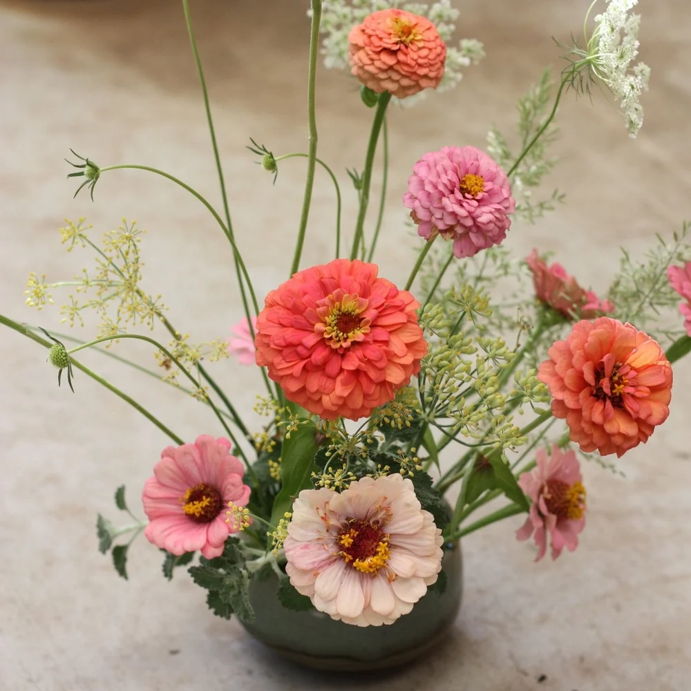 Credit: The Kokoro Garden