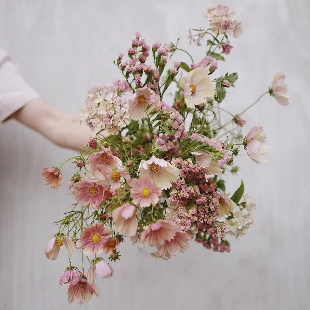 Credit: Milli Proust