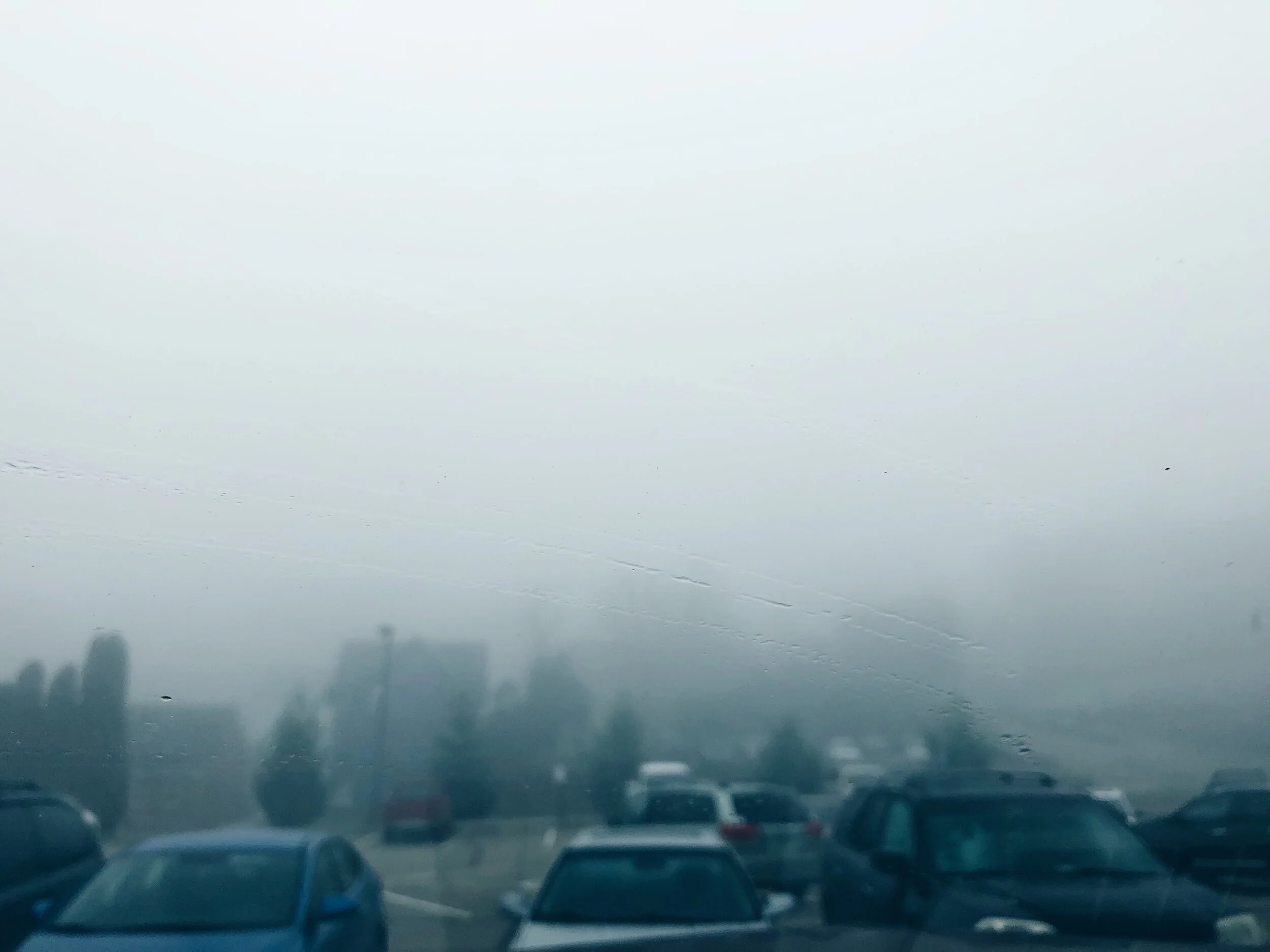 34A3D82D-AD21-43FC-AAC1-11DF480A4CA3.JPG