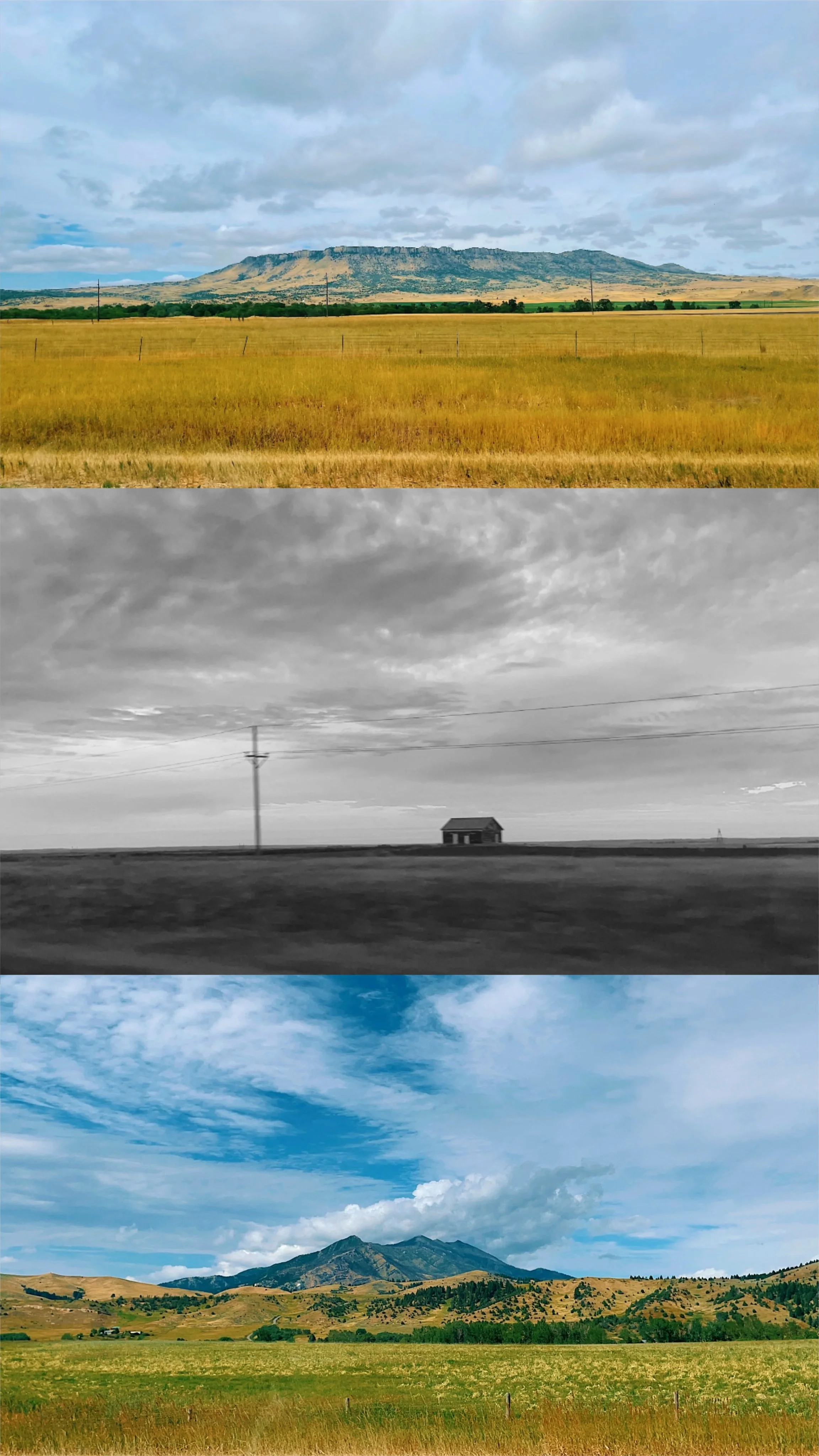 ExportedMontage-46819C89-D051-4A38-834C-C4570DEC53C9.jpg
