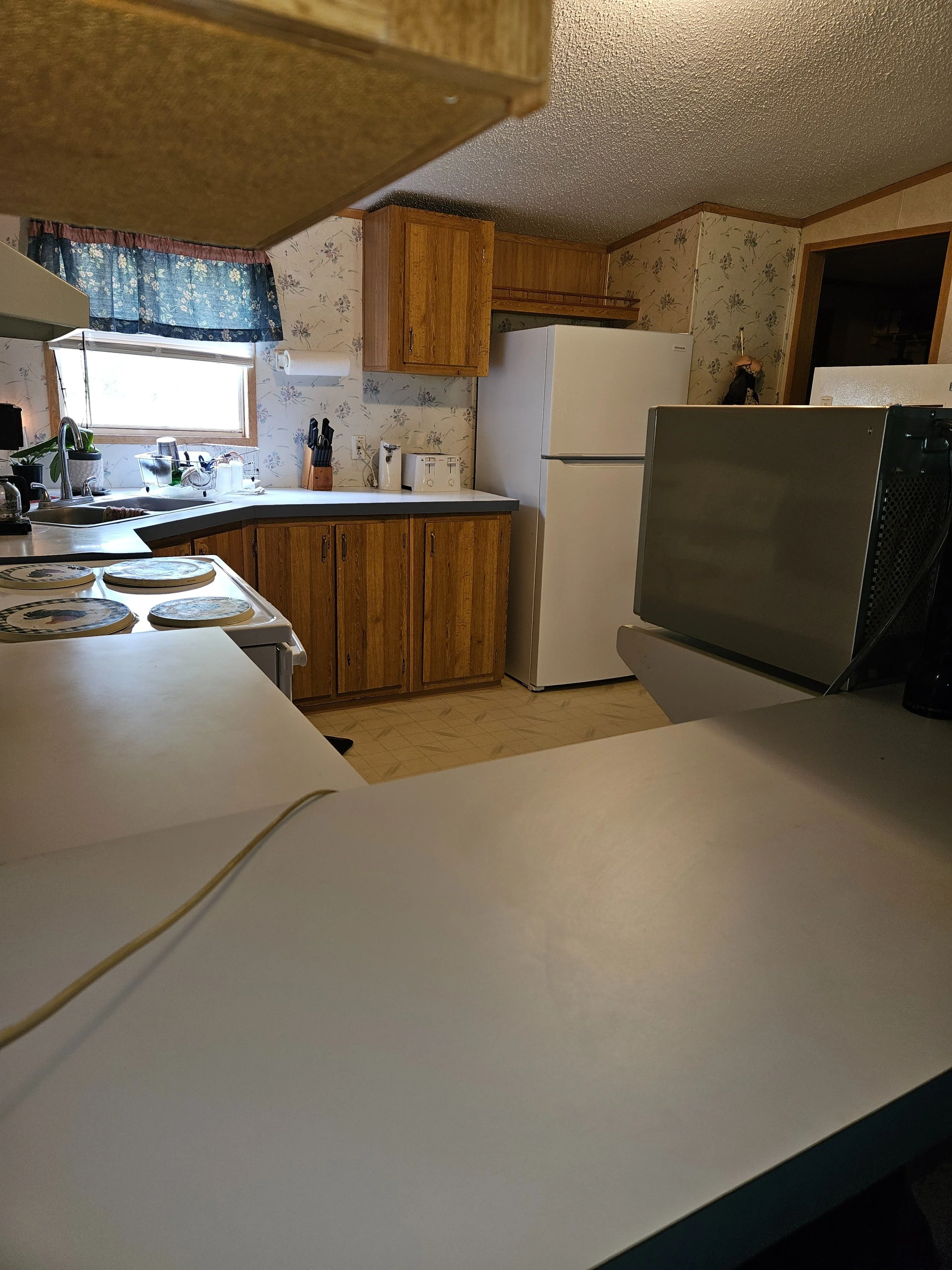 Kitchen1 - Mom.jpg