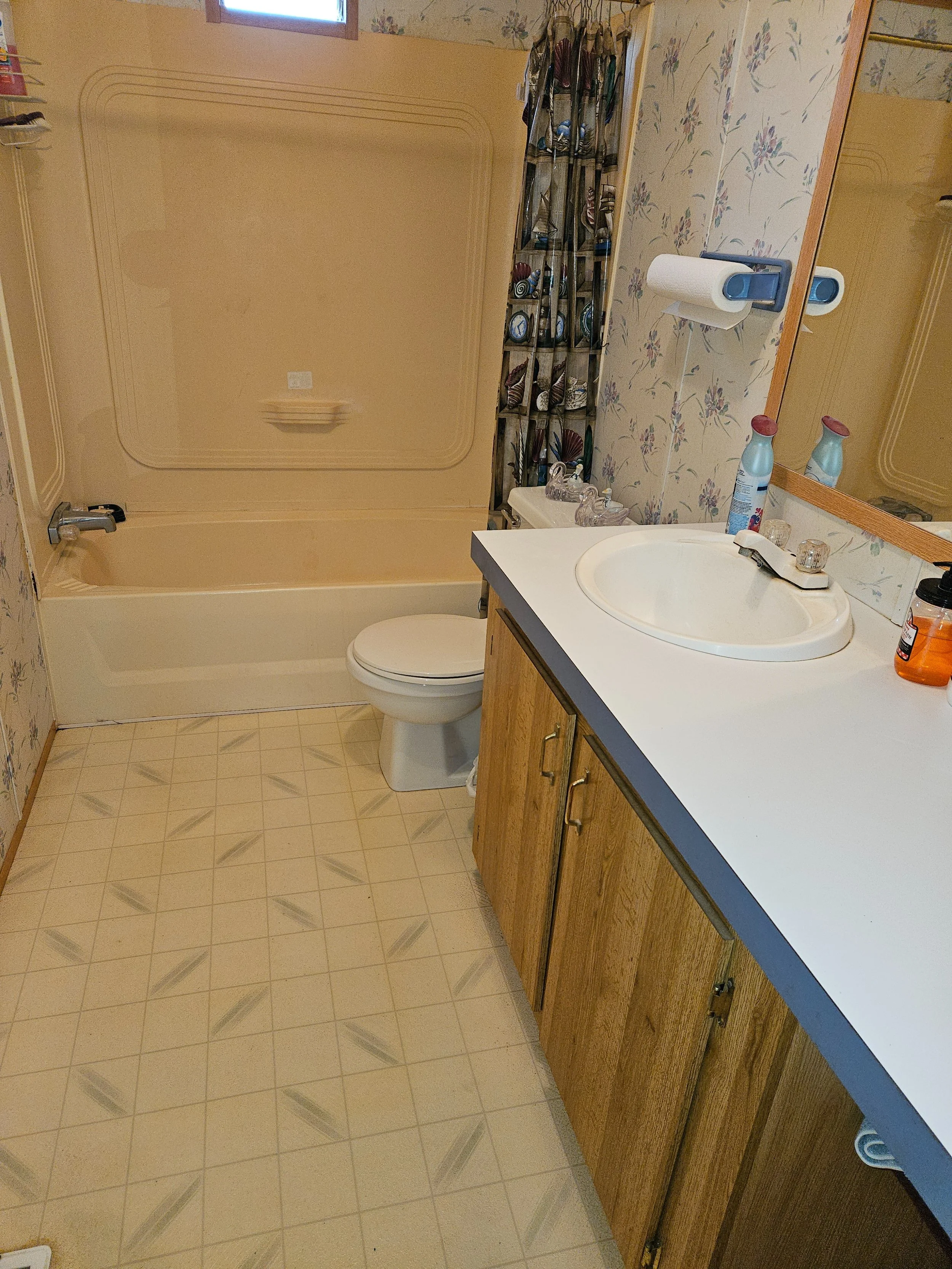 Spare Bathroom1 - Mom.jpg