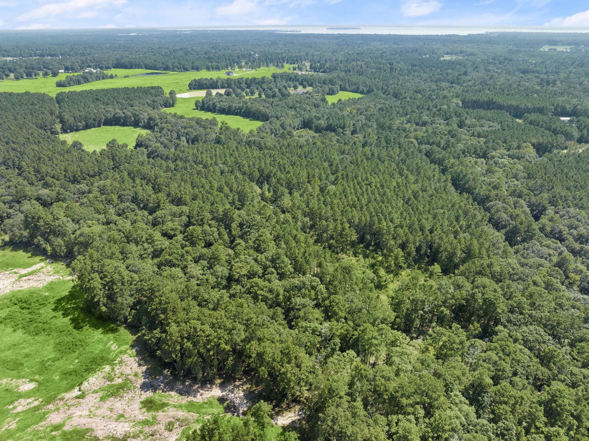 DJI_20240807153320_0017_D.jpg