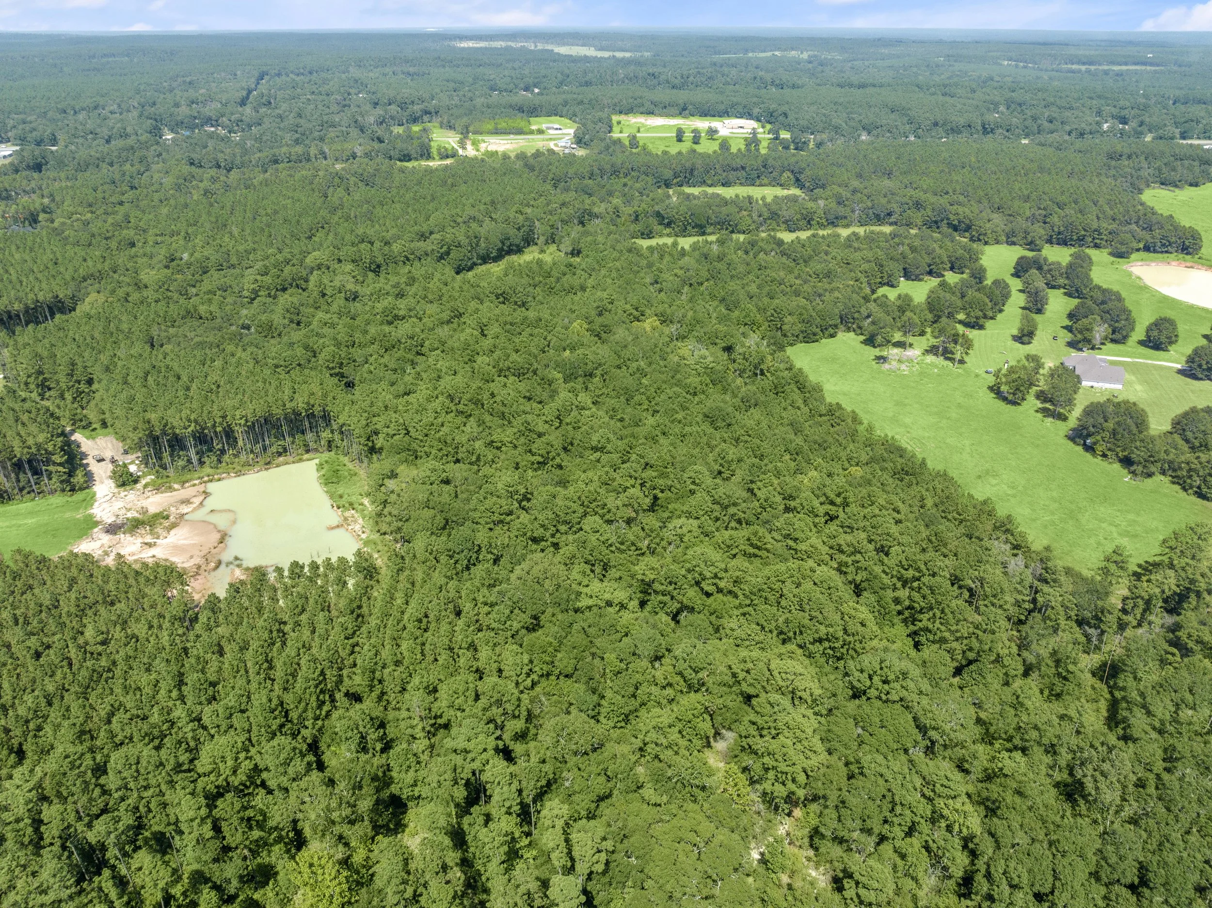DJI_20240807152636_0009_D.jpg