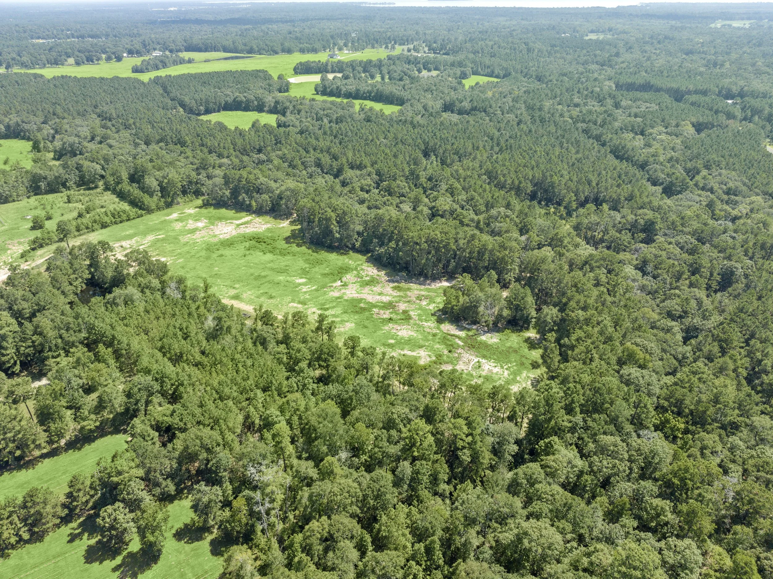 DJI_20240807152358_0007_D.jpg
