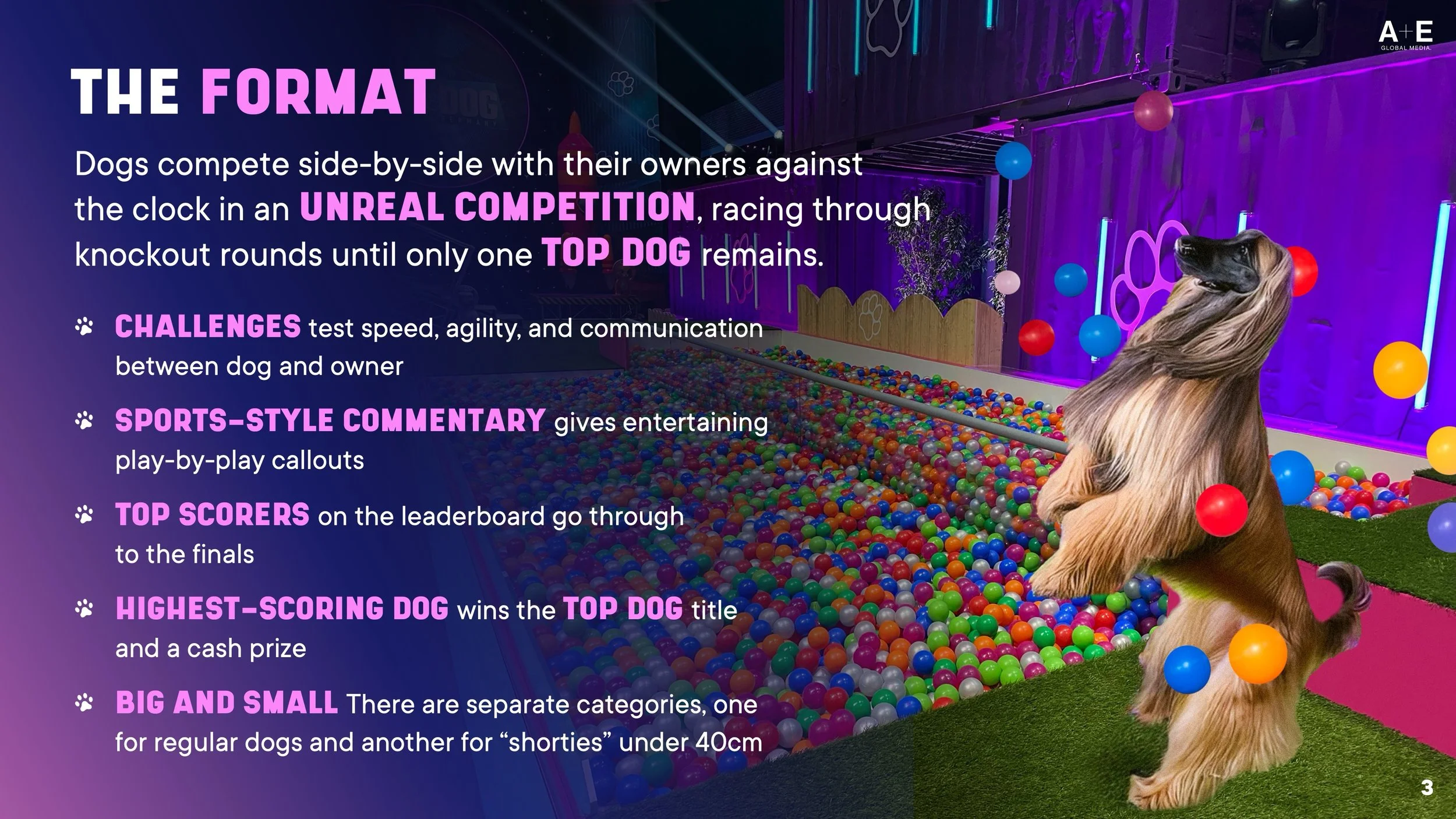 Slide3.jpeg