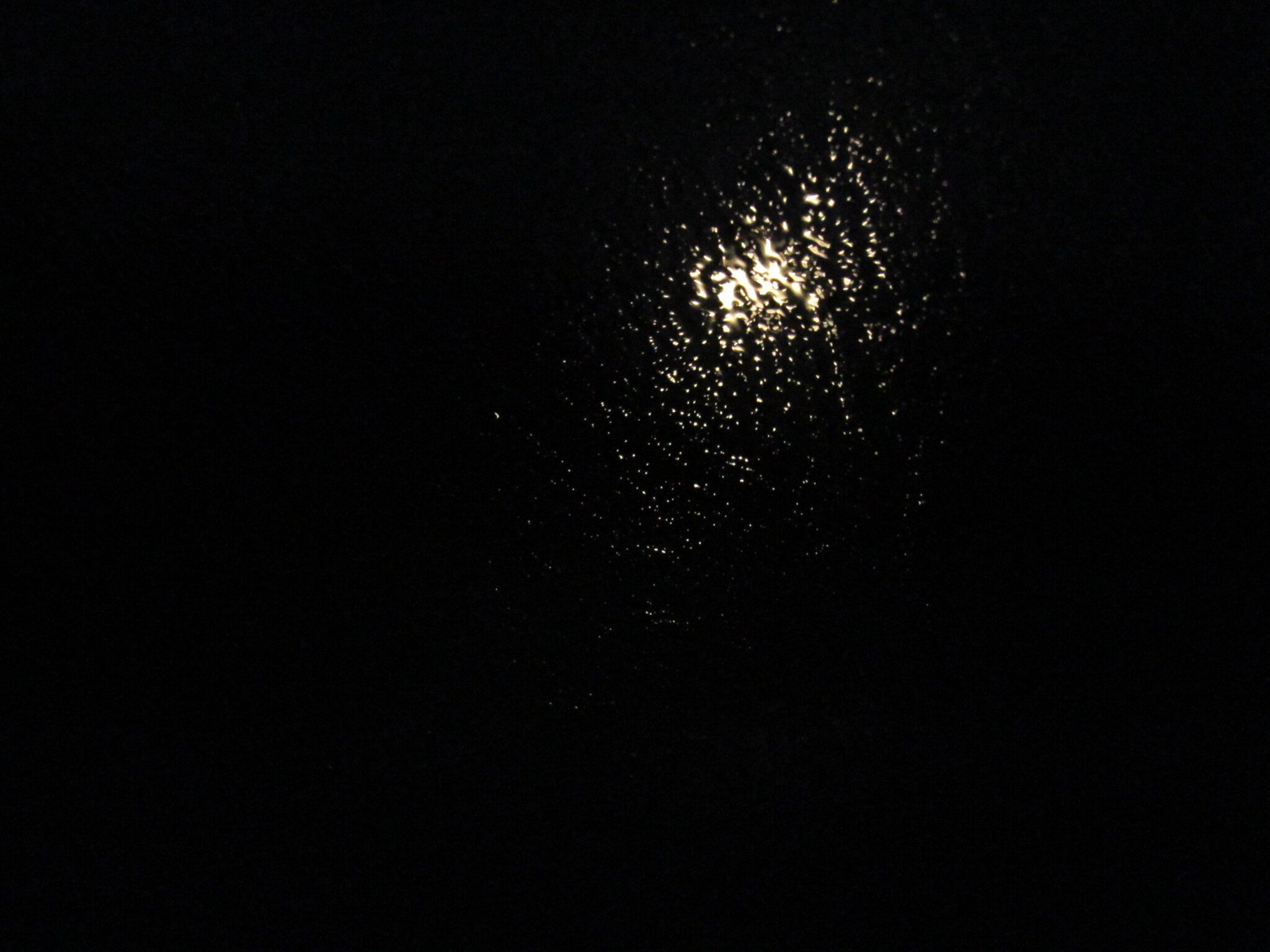 19800101000247.JPG