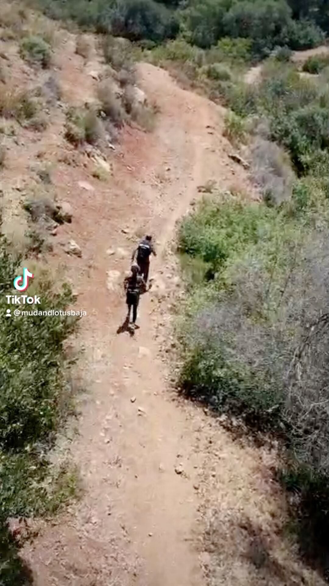 Slide 6