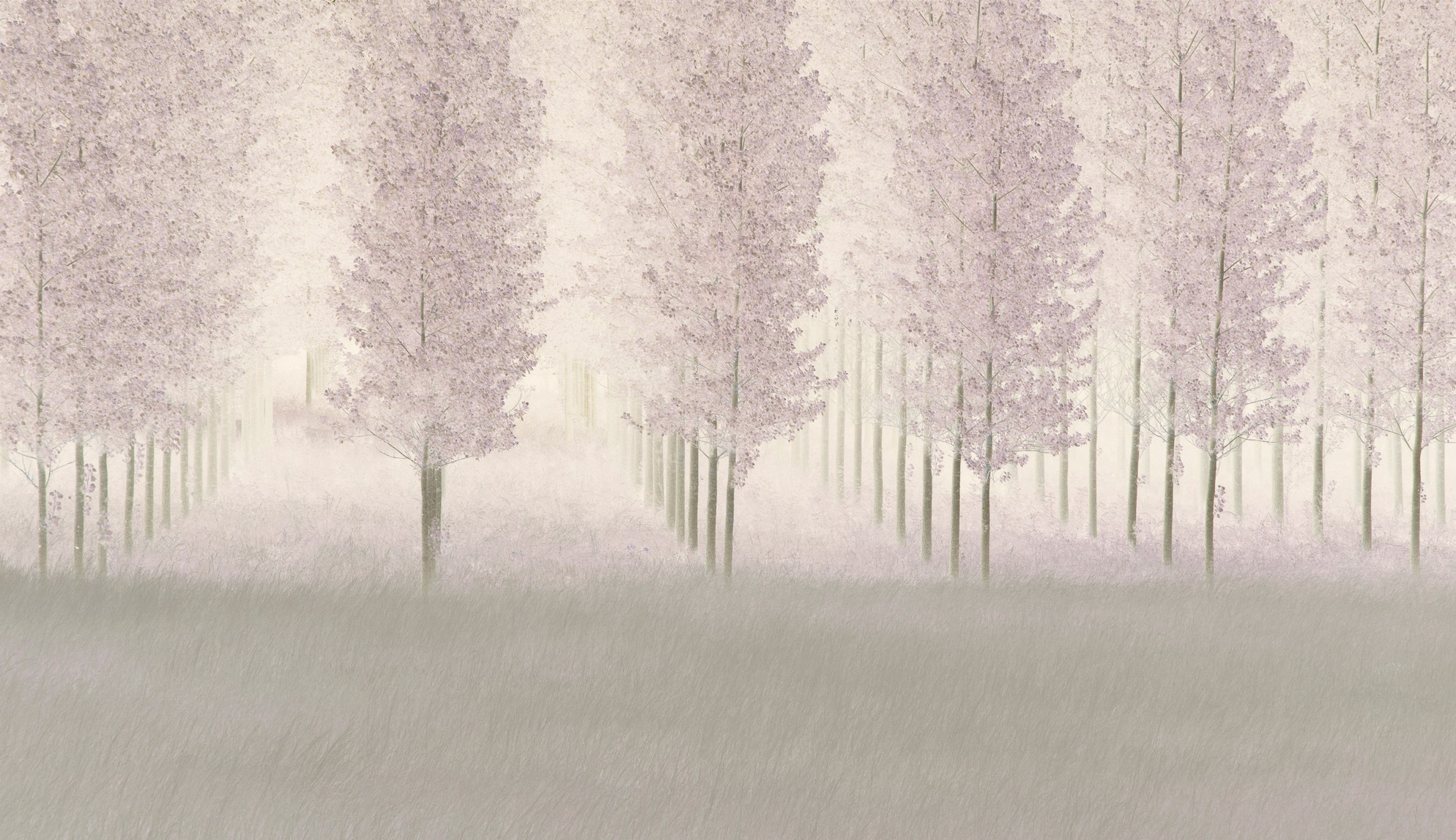 Lines-of-Trees_cropped.jpg