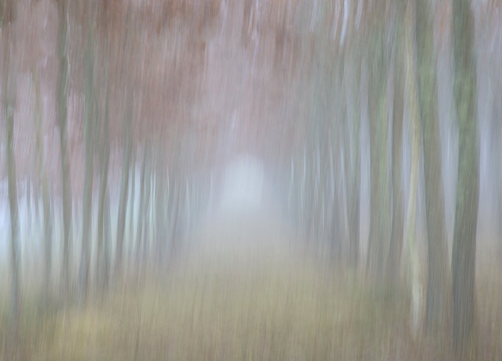 Impressionistic Trees for website.jpg