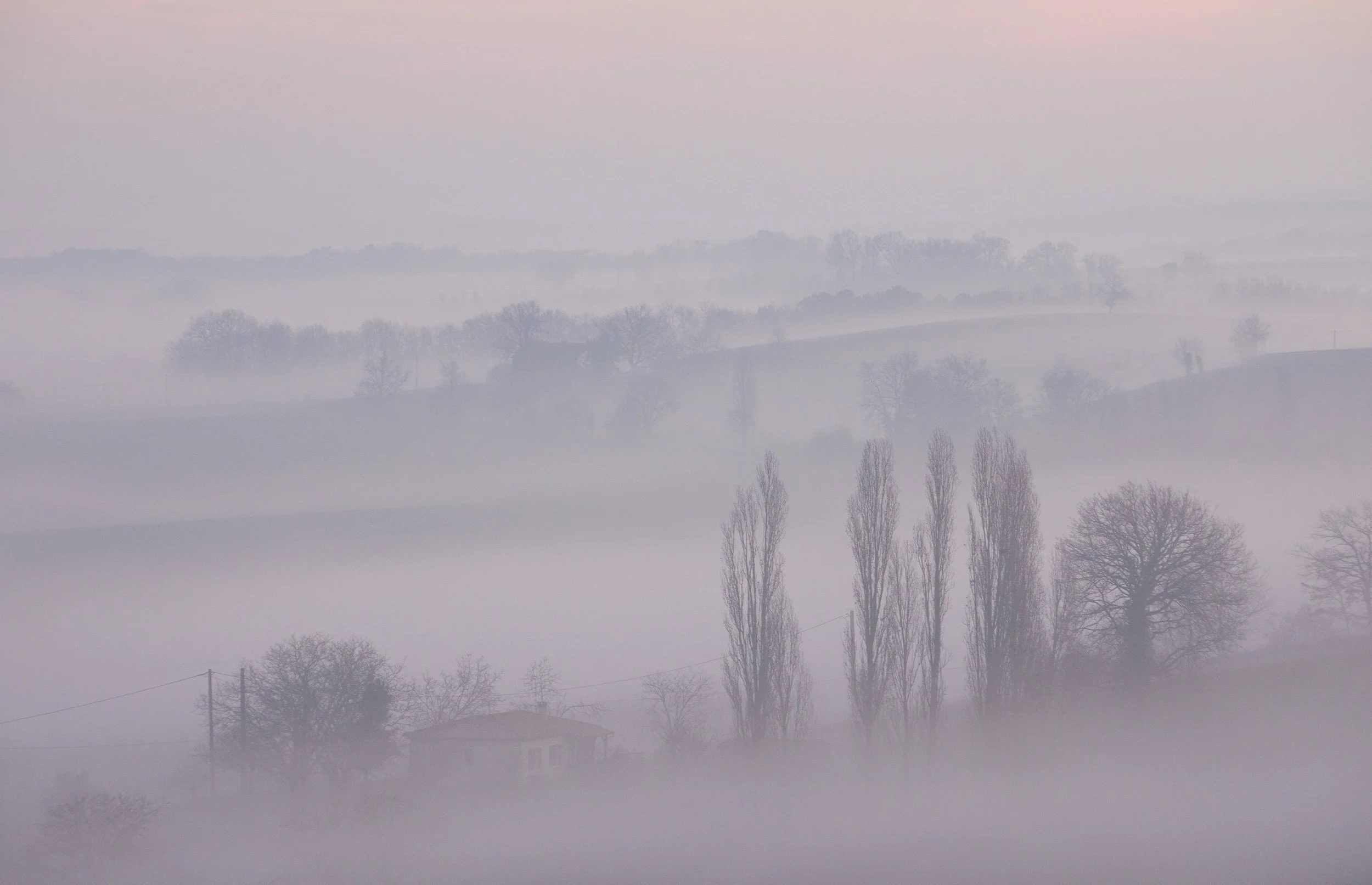 Misty Morning from Bellevue.jpg