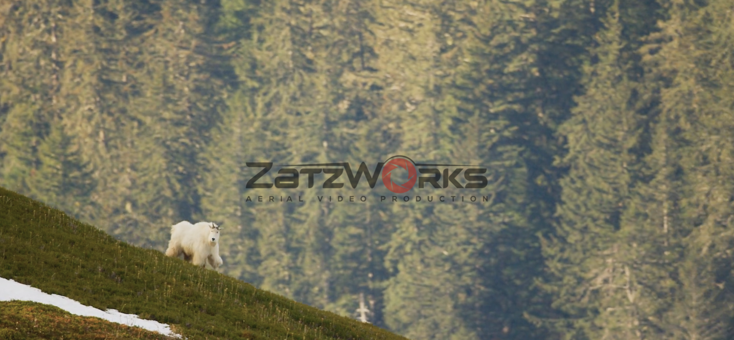 We Gave ZatzWorks A Marketing Update!
