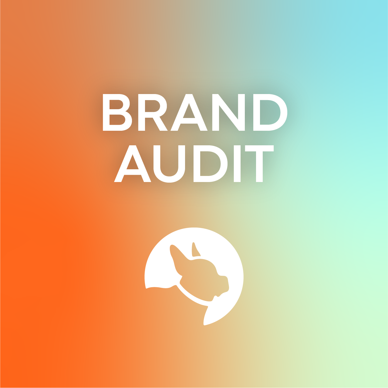 Brand Audit 2.png
