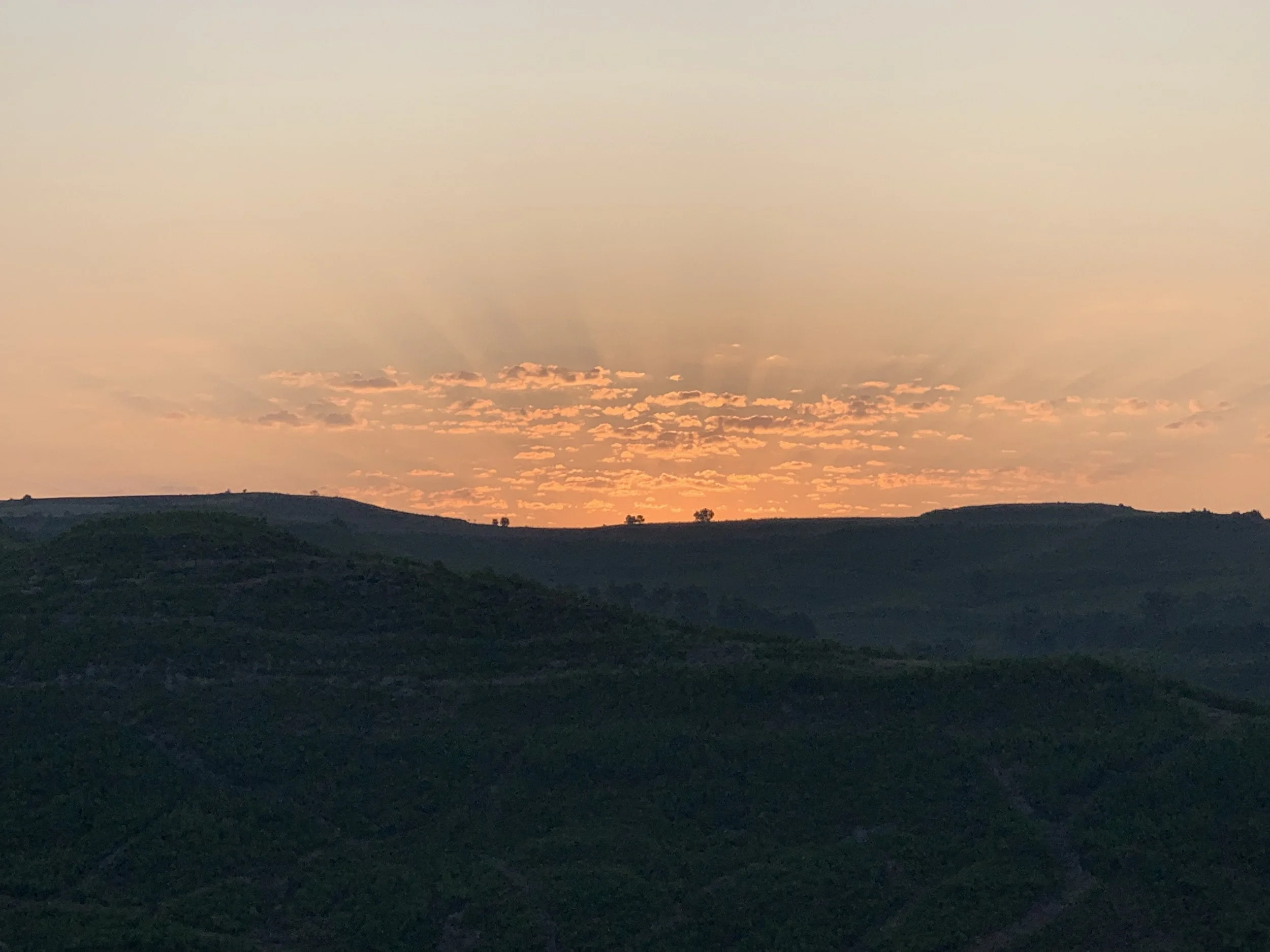 Day 8, Friday, August 30th, 2019:  Sansol to Logroño