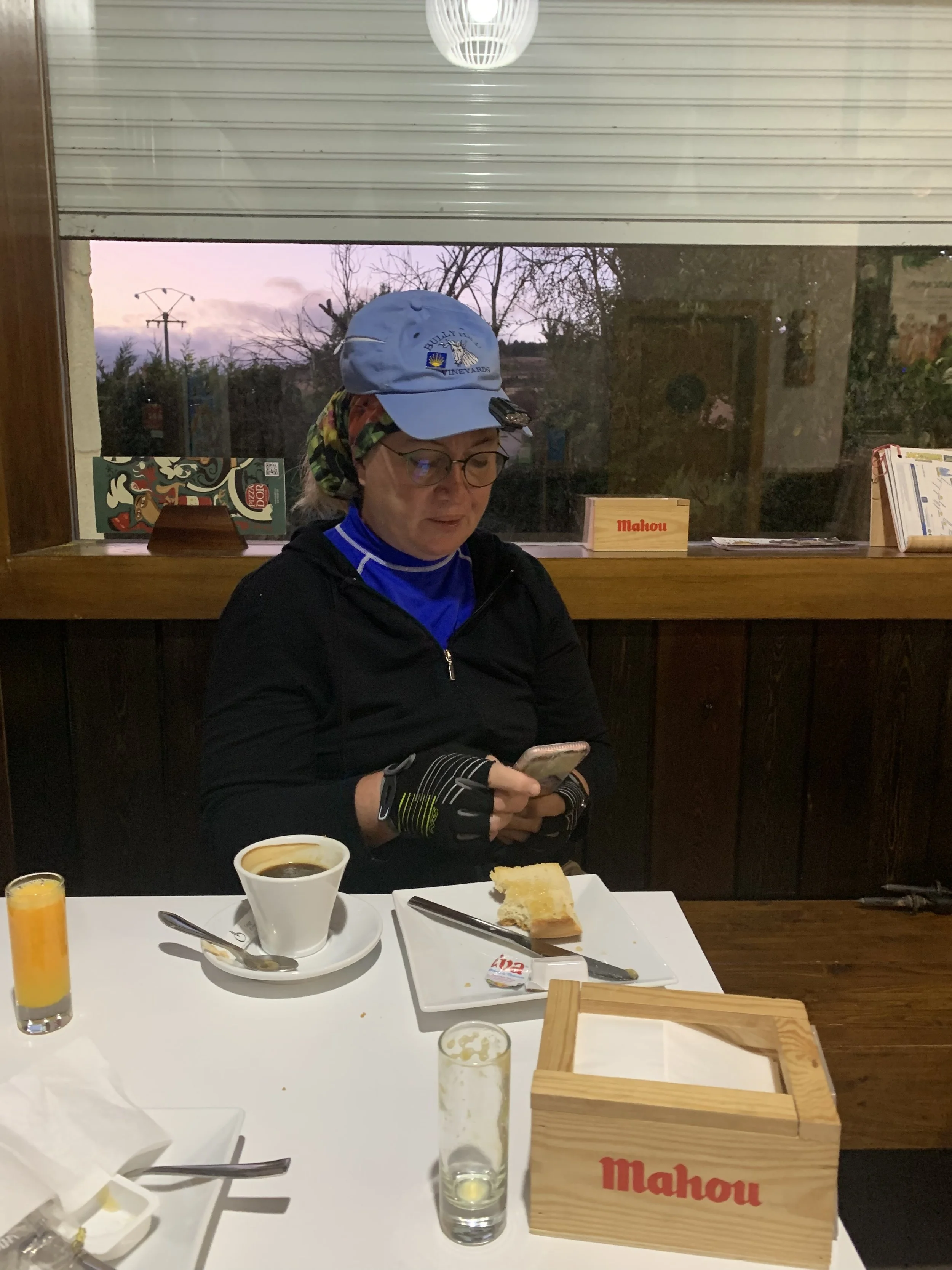 Day 14, Thursday, September 5th, 2019:   Cardeñuela Riopico to Burgos to Tardajos