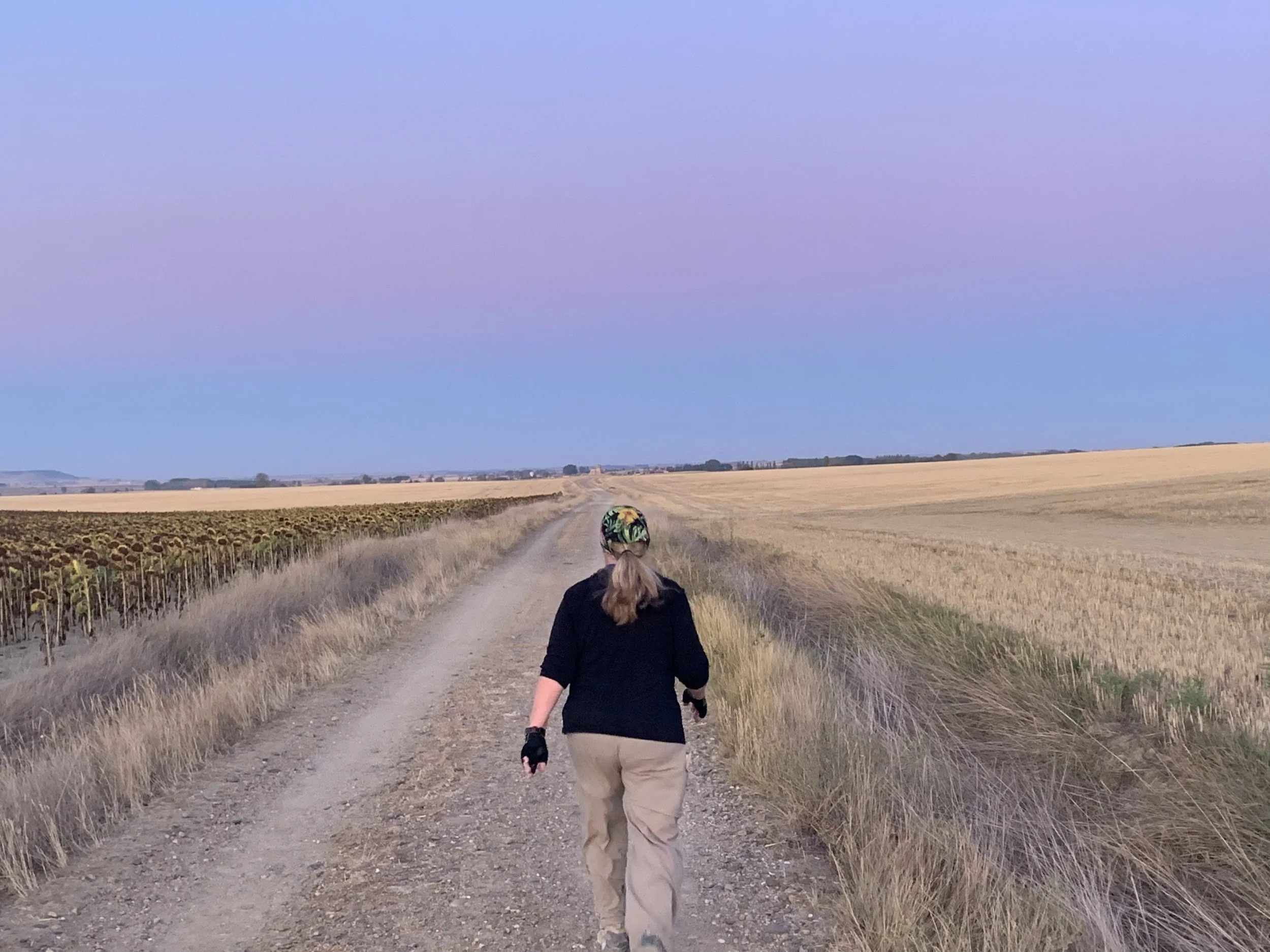 Day 17, Sunday , September 8th, 2019:   Itero de la Vega to Villarmentero de Campos