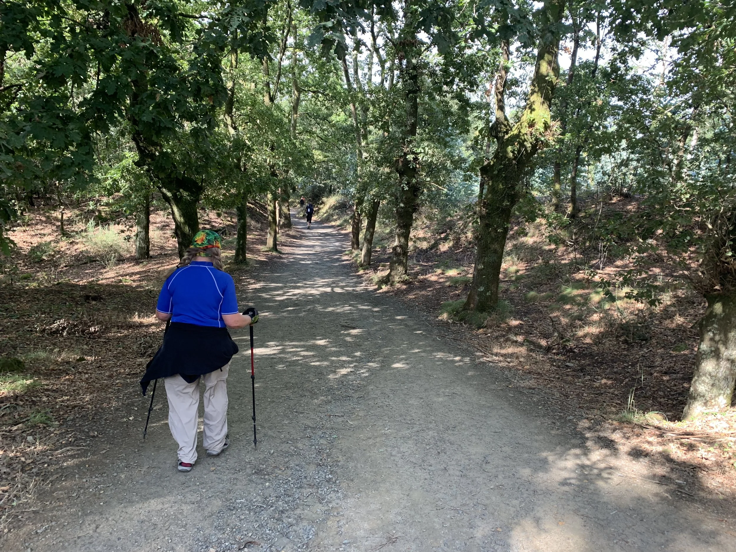 Day 35, Thursday, September 26th, 2019:  Melide to Salceda