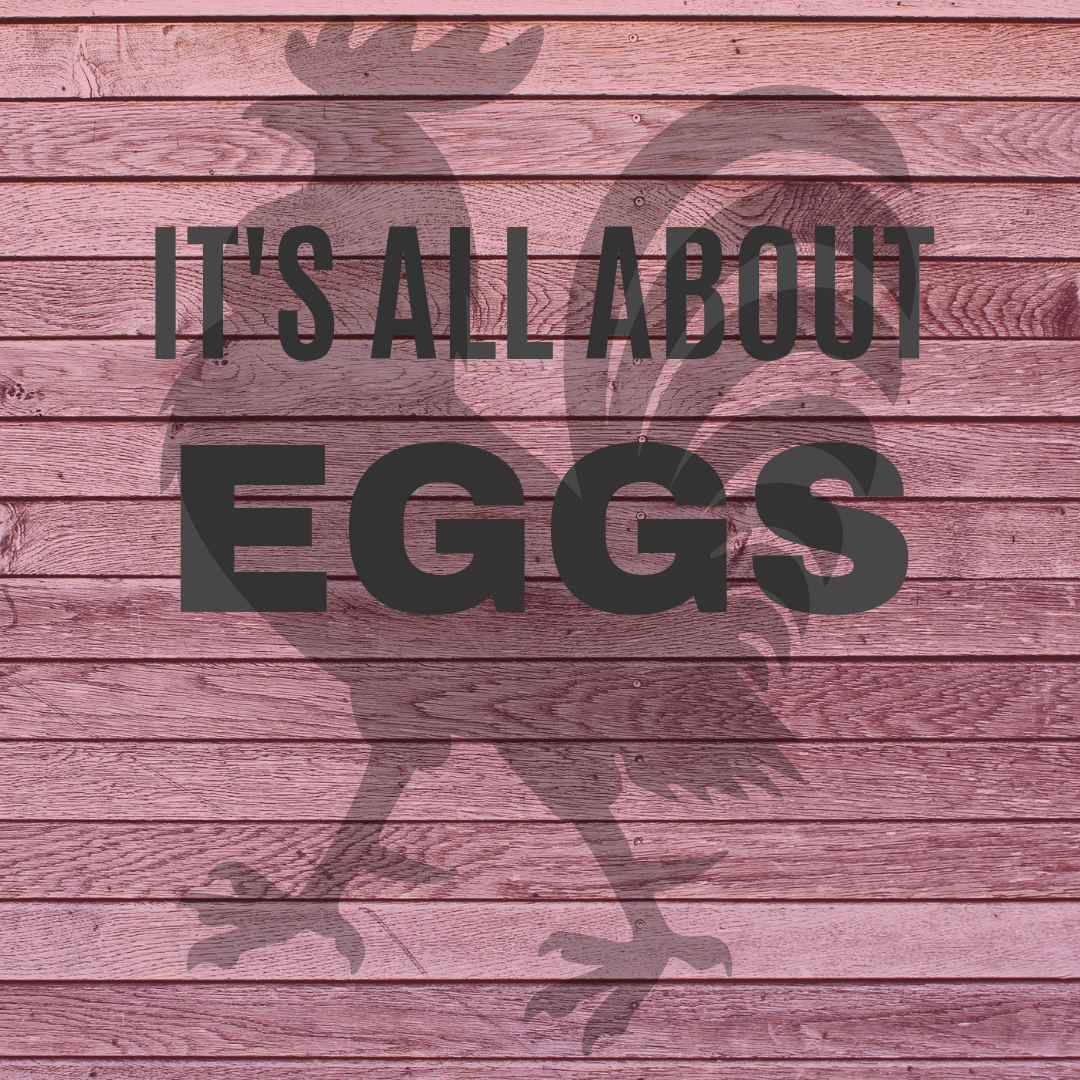 It's All About Eggs