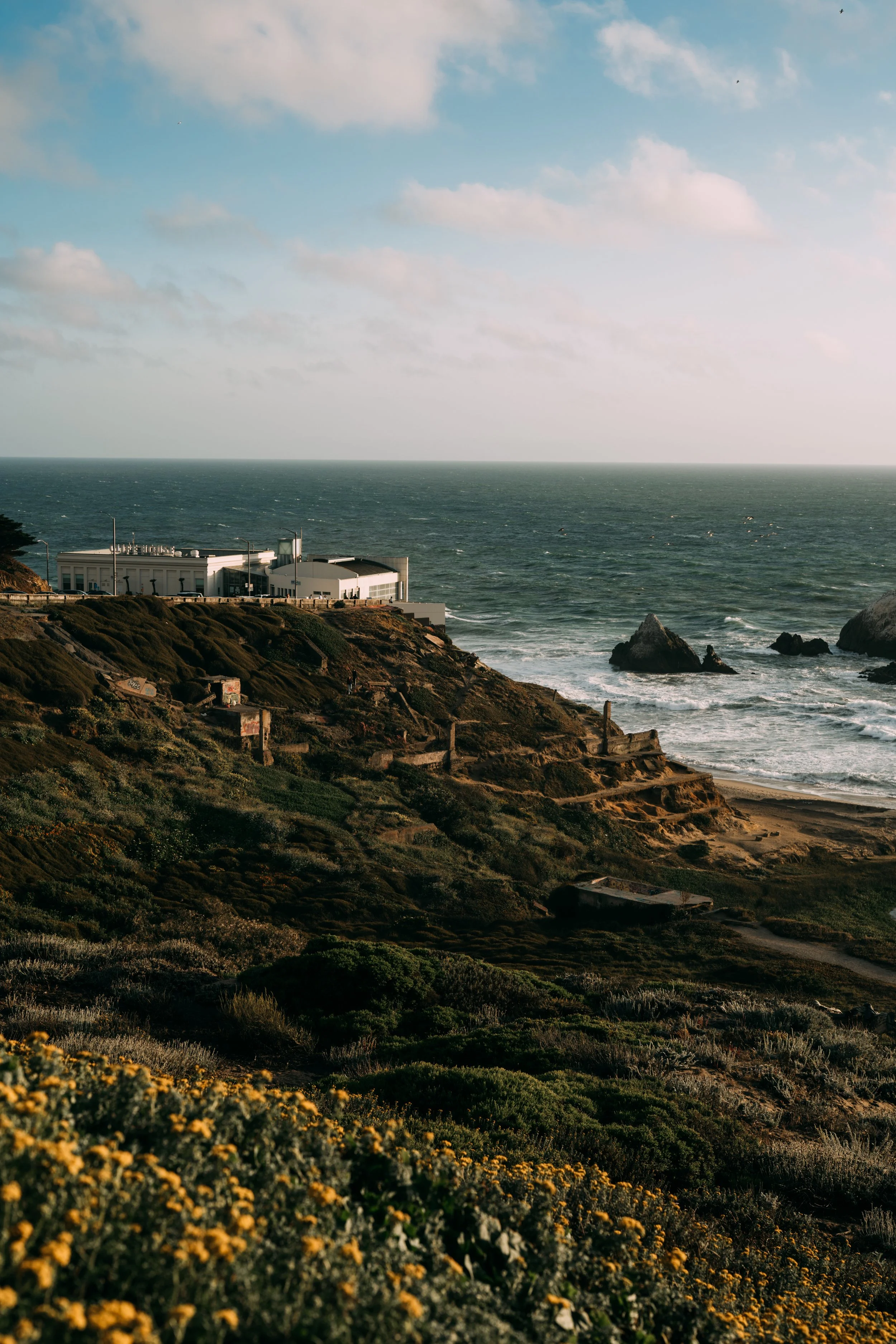 Prints Available for Purchase