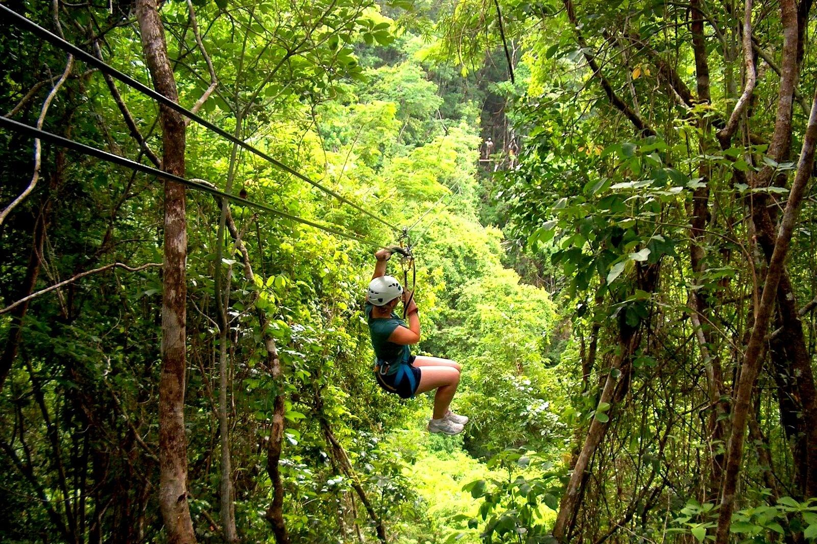 zip+line.jpg