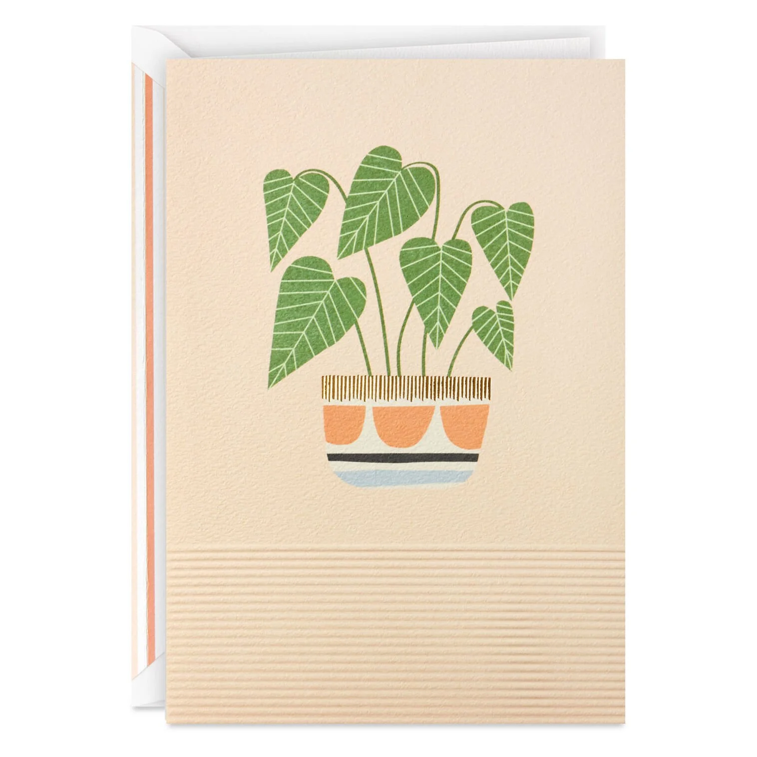 Houseplant-on-Blush-Signature-Blank-Card_599LAD3188_01.jpg
